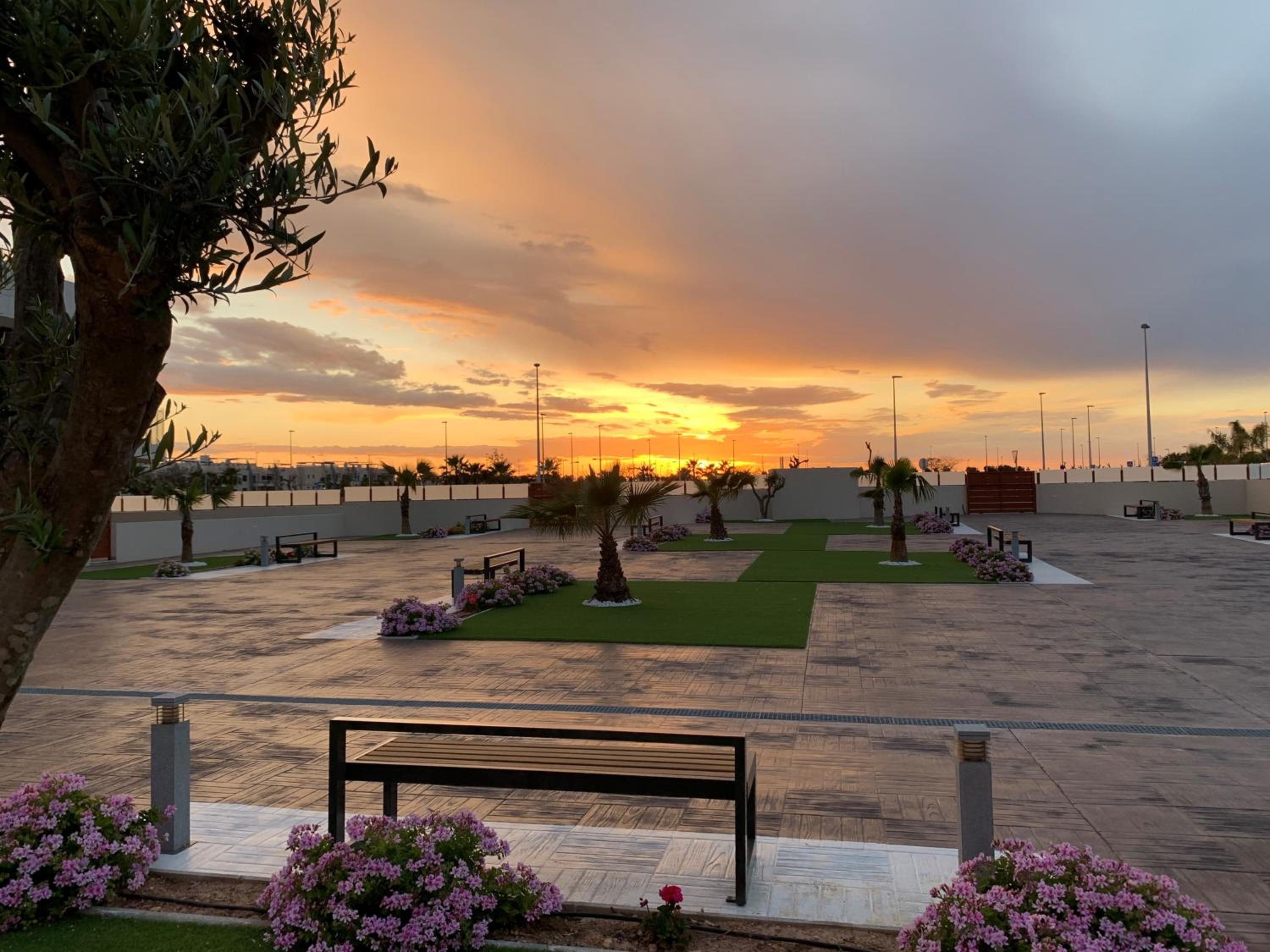 Bianca Beach 106, ground floor 250m from Mil Palmeras beach view 5
