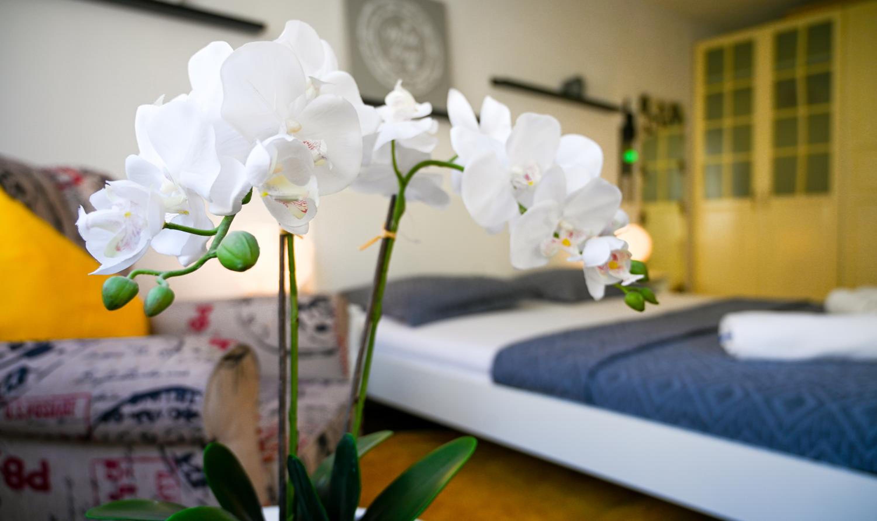 Cozy Apartment Margareten