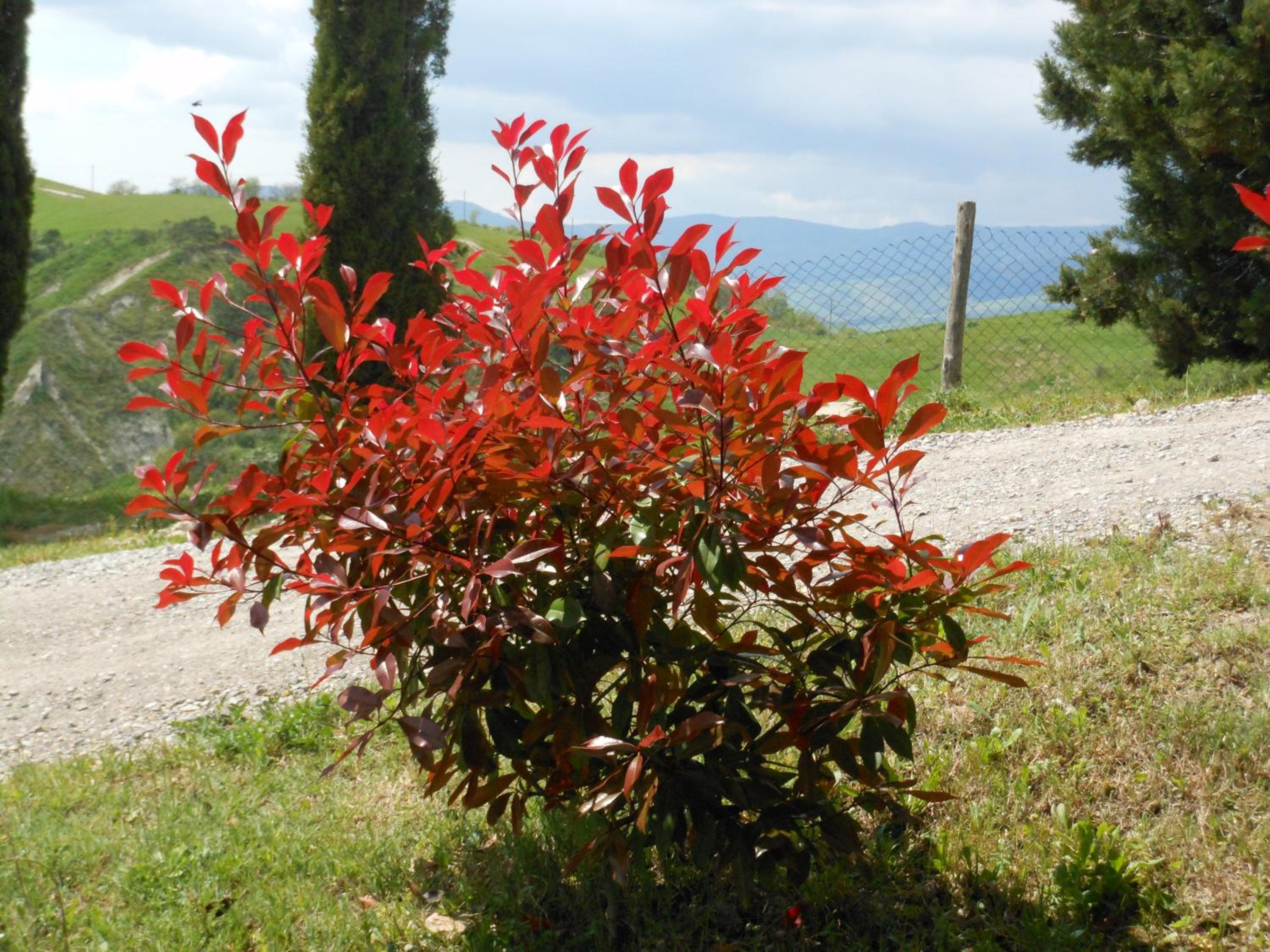Agriturismo Collomici