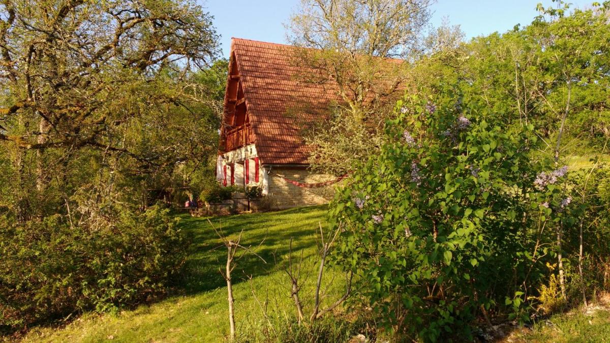 Photo 28