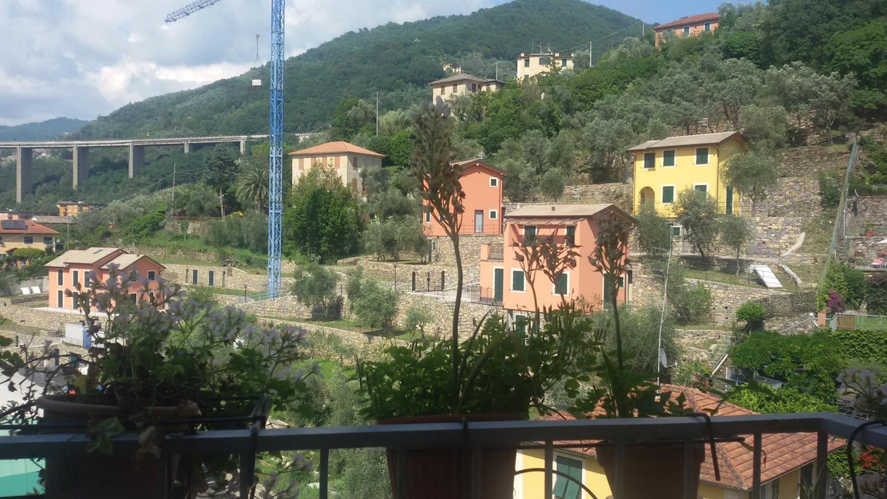 il Papavero view 4