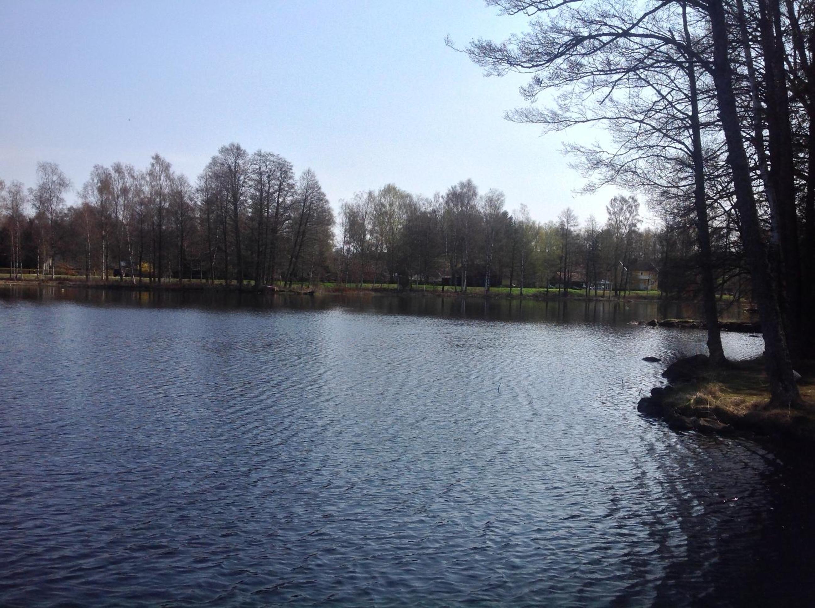 Photo 22