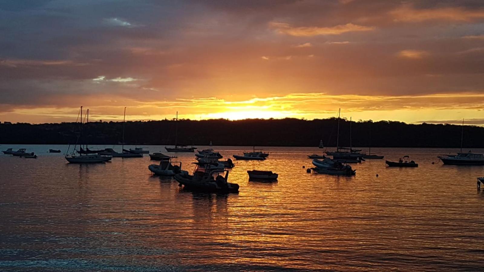 Cottage Point - Paradise Found