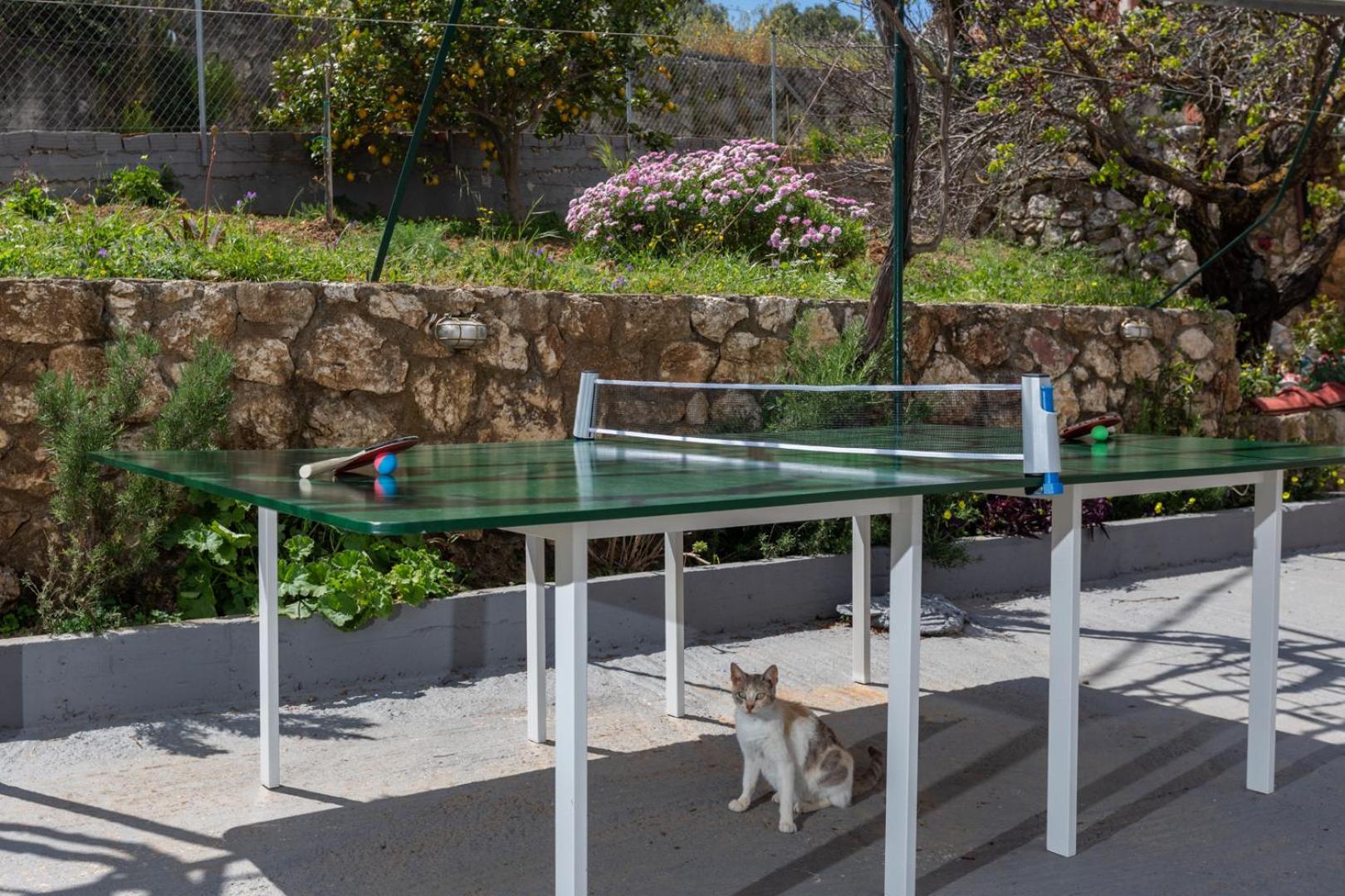 activities & amenities