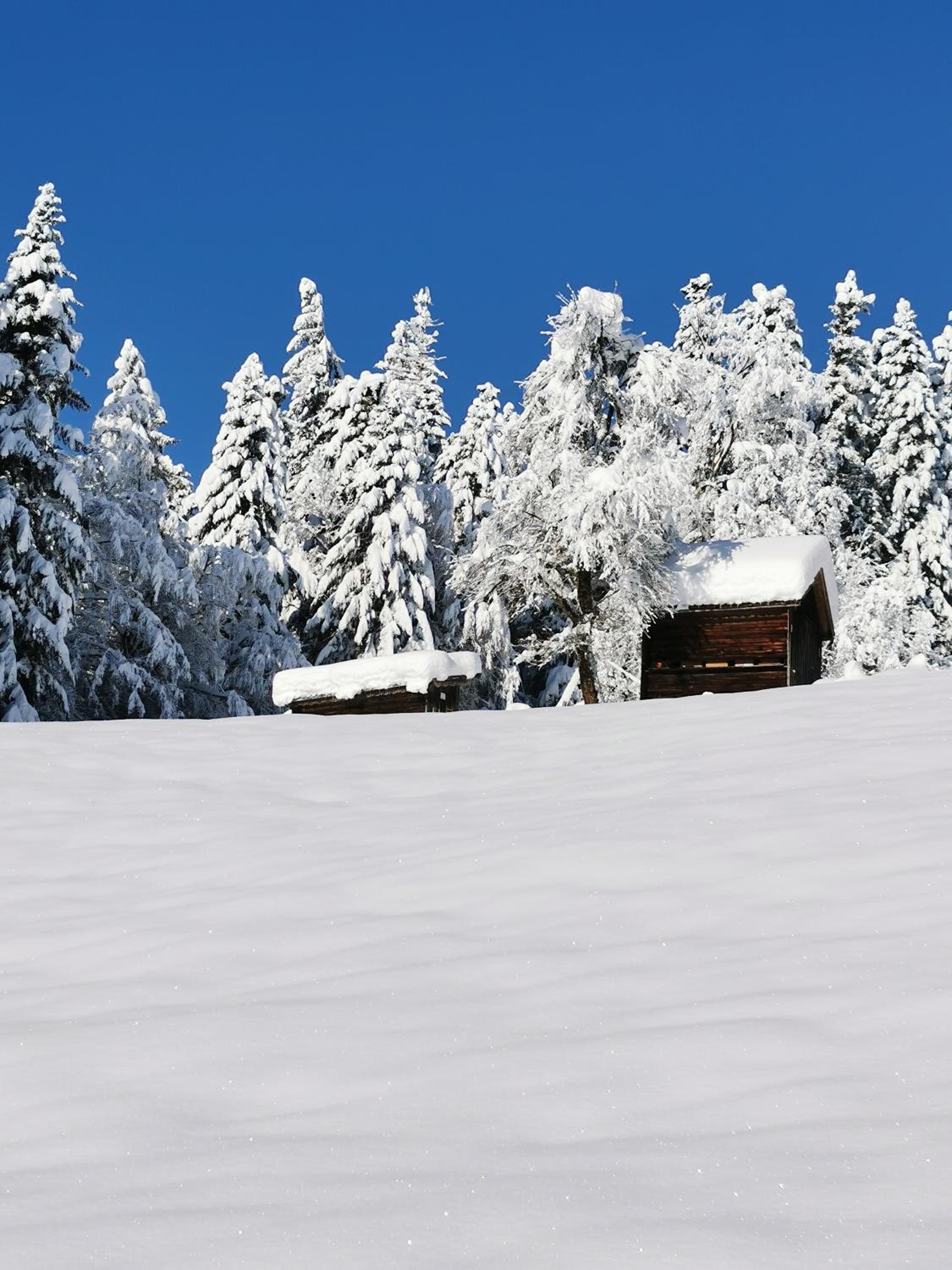 Ferienwohnung Panorama