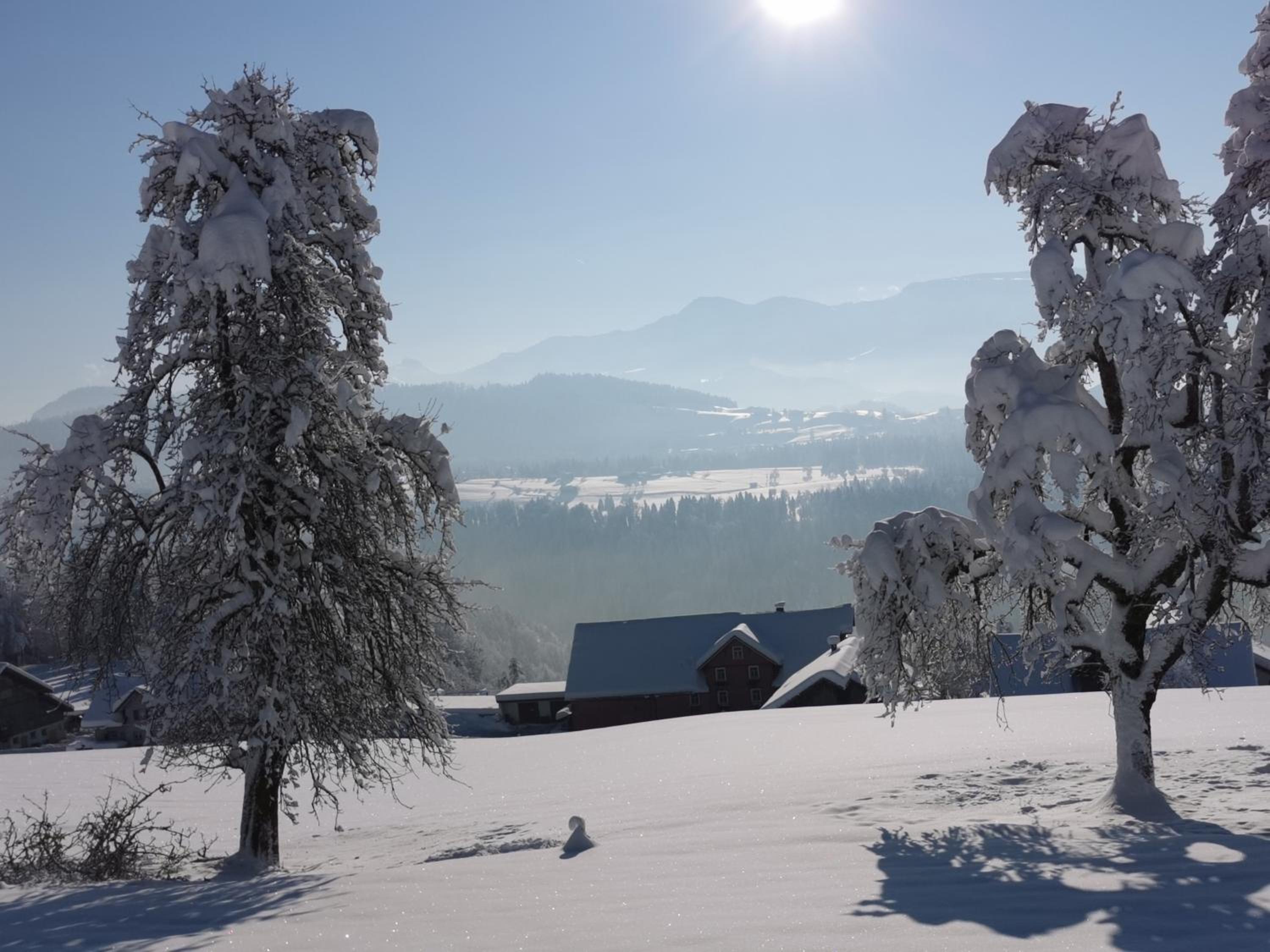 Ferienwohnung Panorama