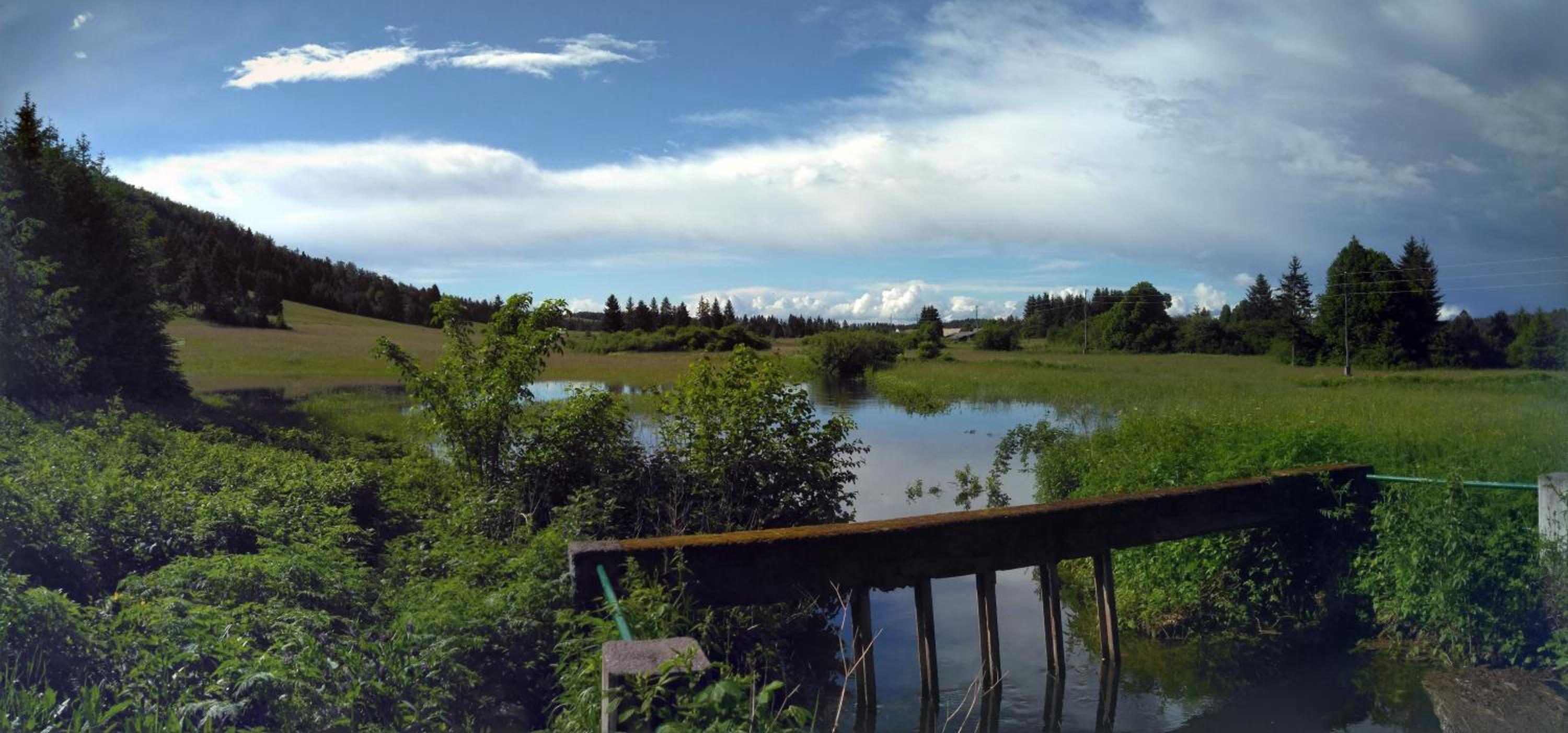 Photo 43