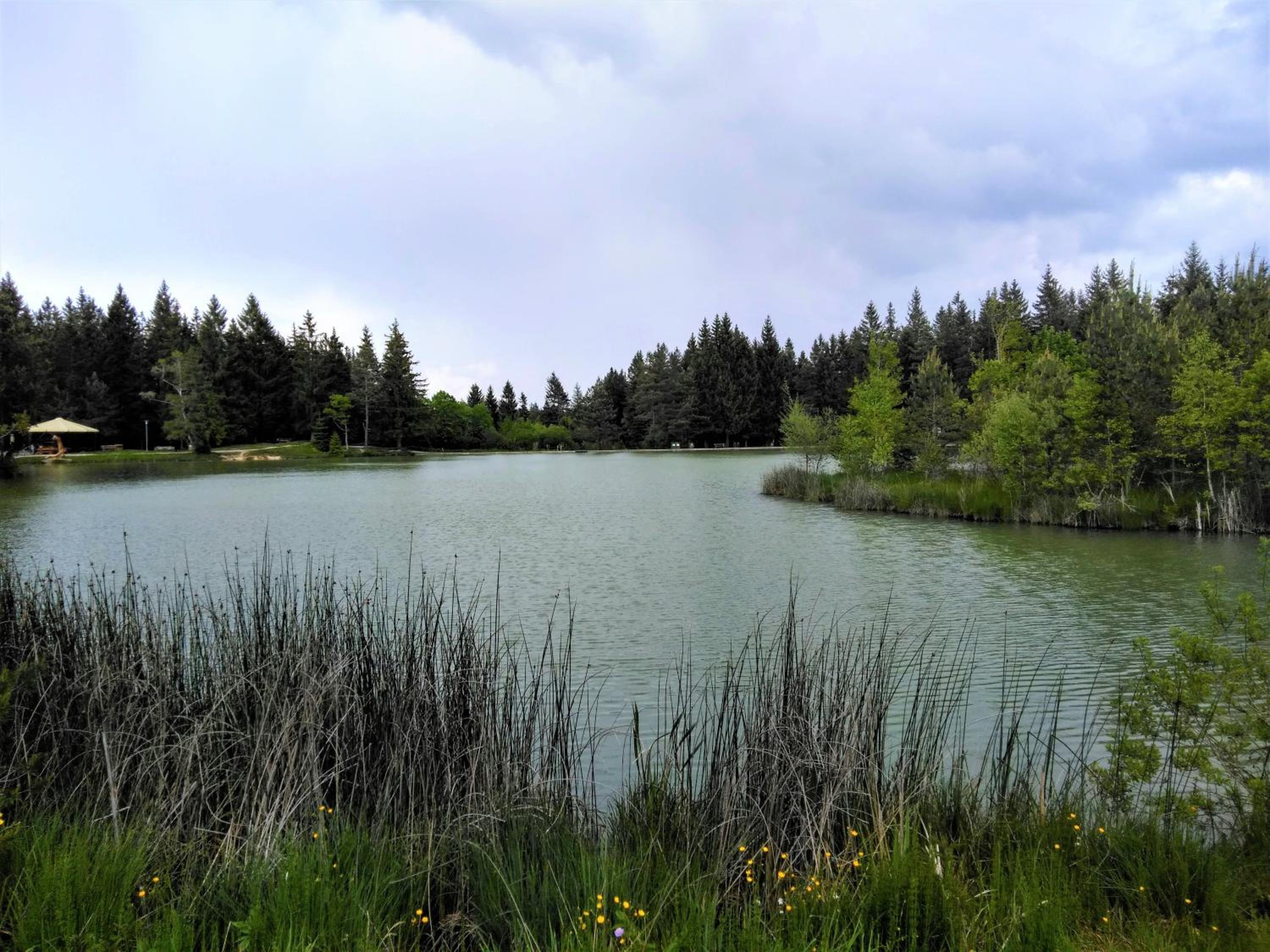 Photo 42