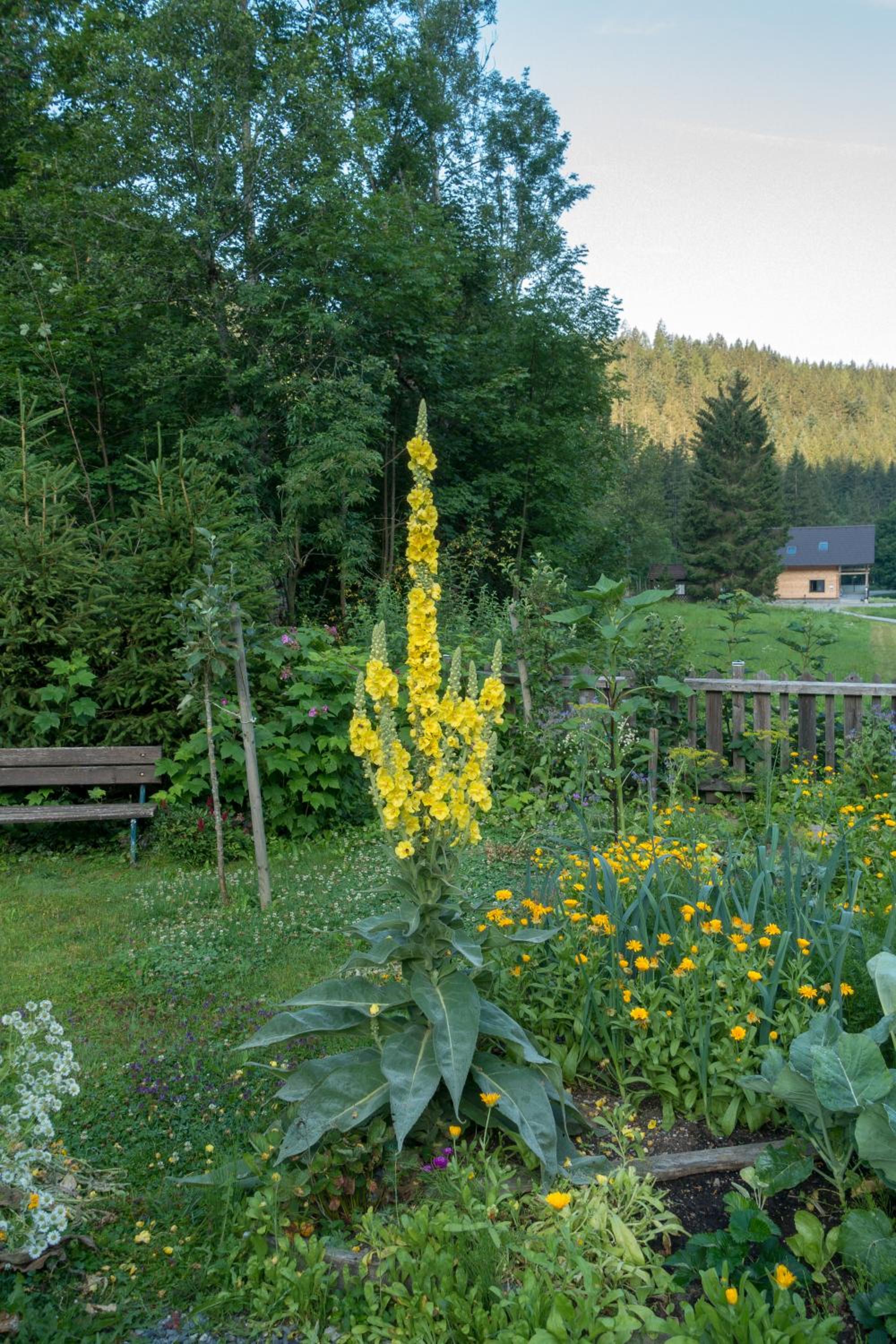 Photo 14