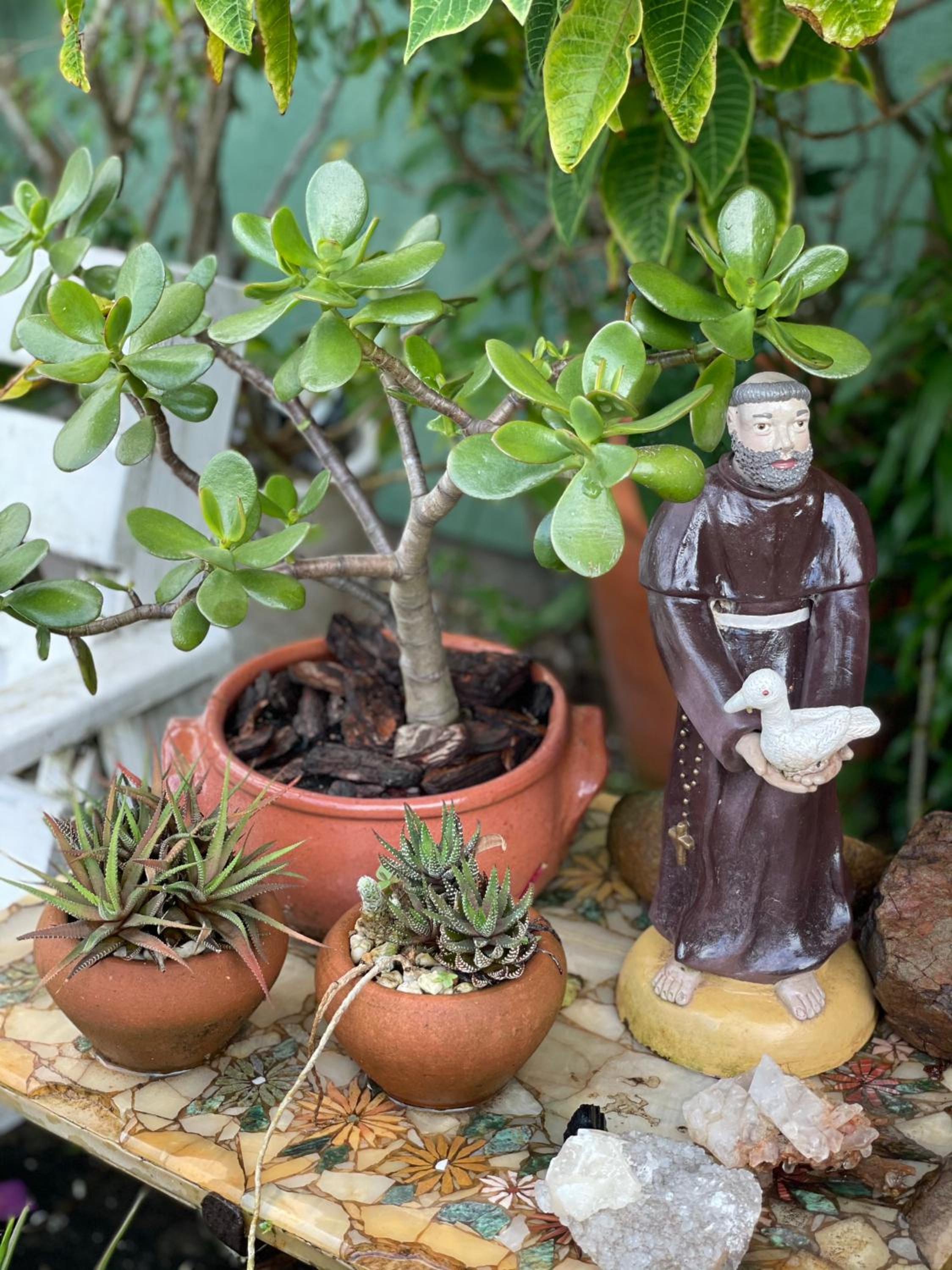 Pousada Santarina