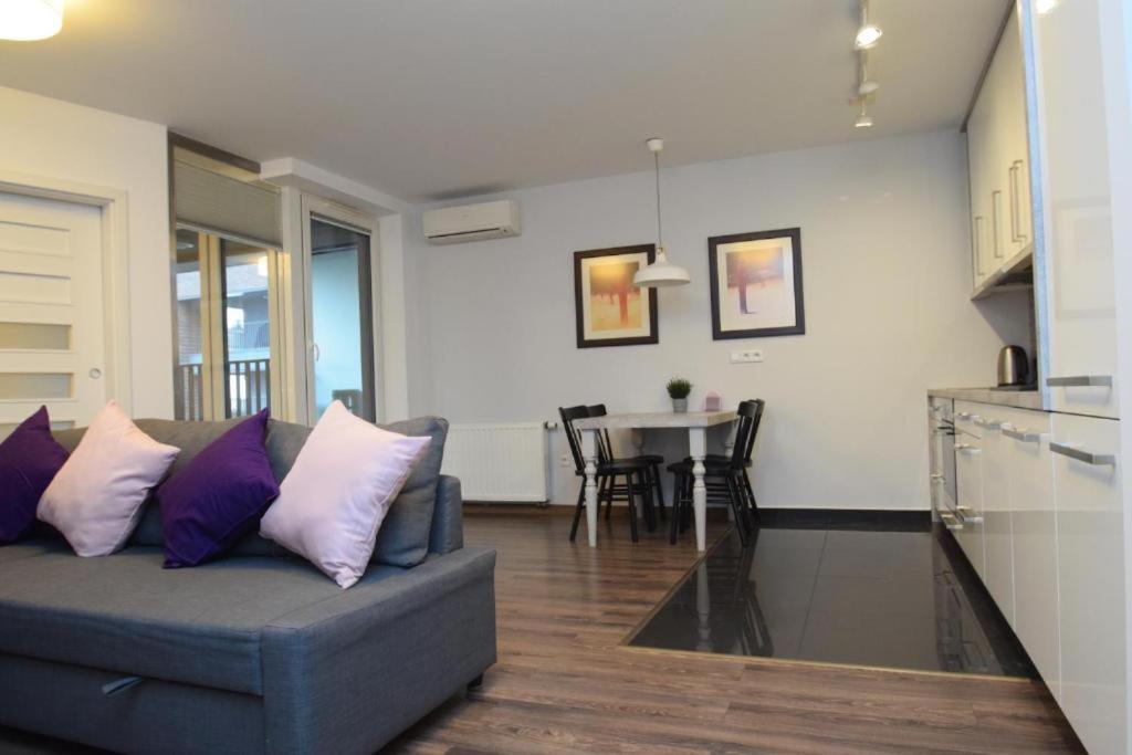Apartament nad Wisłą view 3