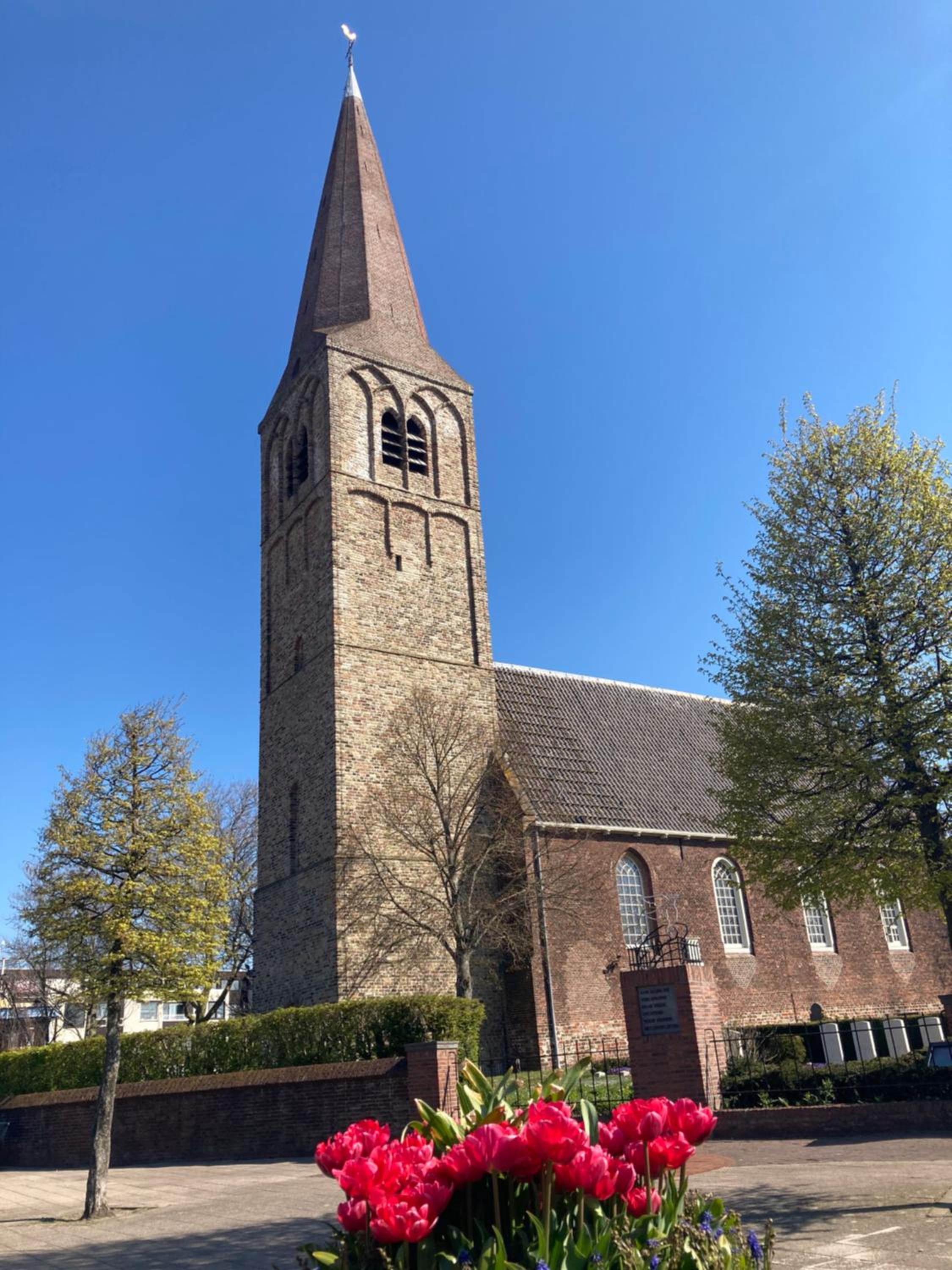 Photo 41