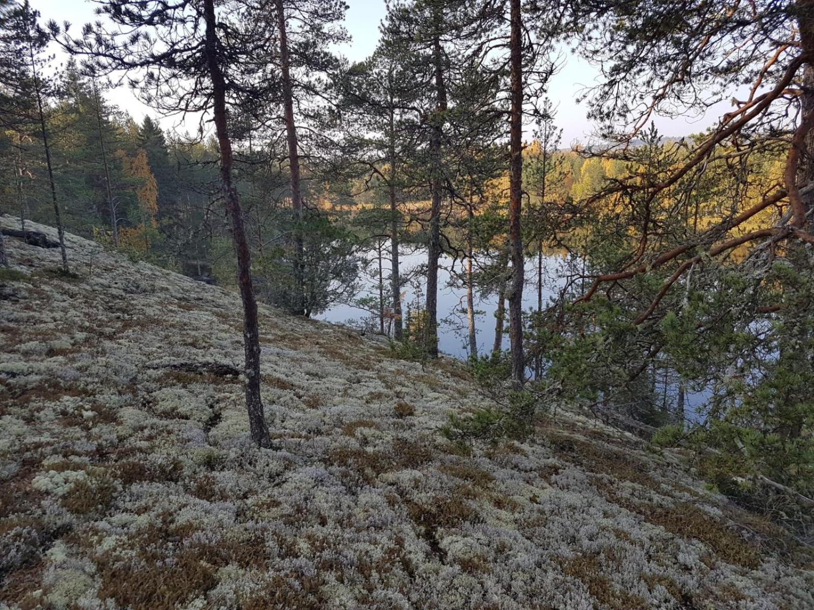 Photo 30