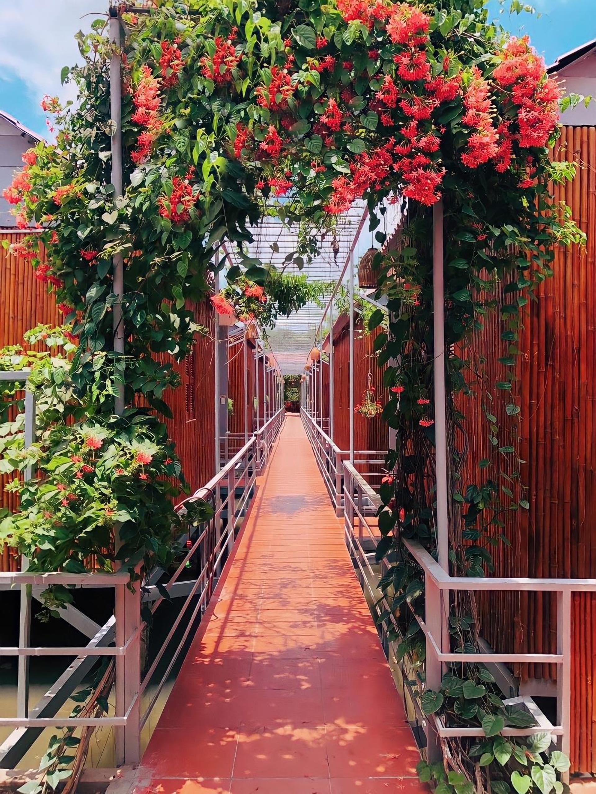 Cato Homestay view 3