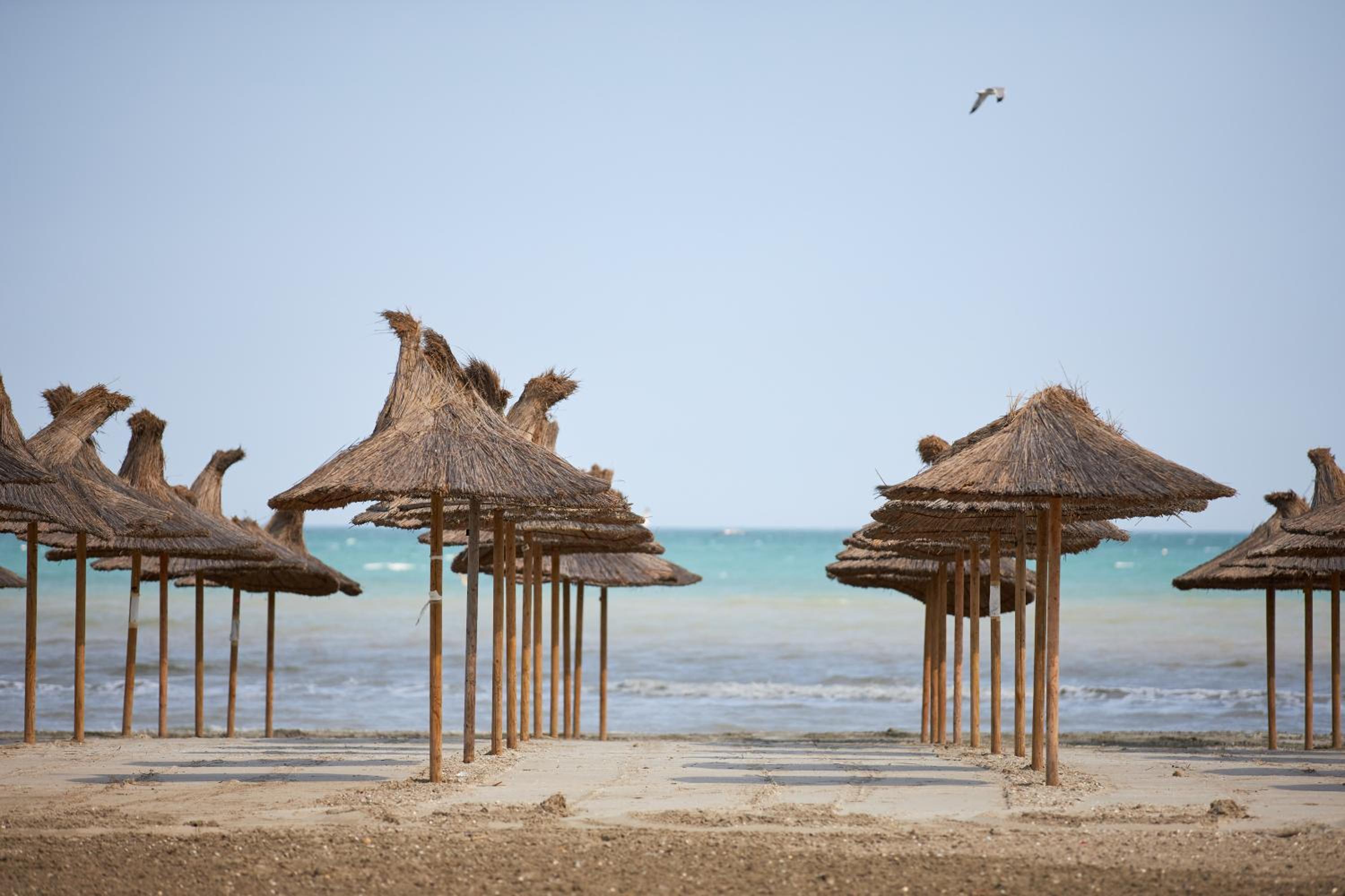 Deko Apartments Alezzi Beach Mamaia view 3