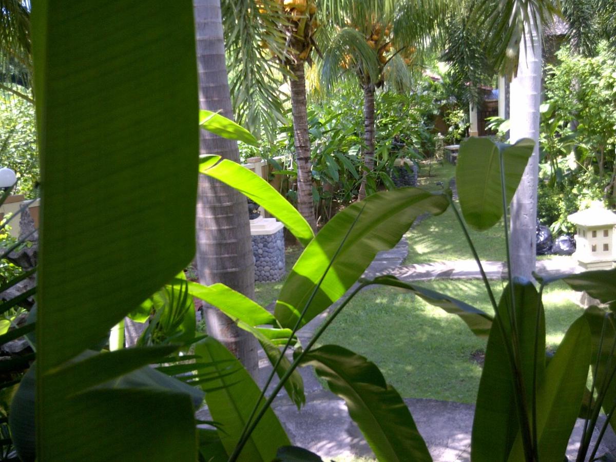 Pazzo Bali view 3
