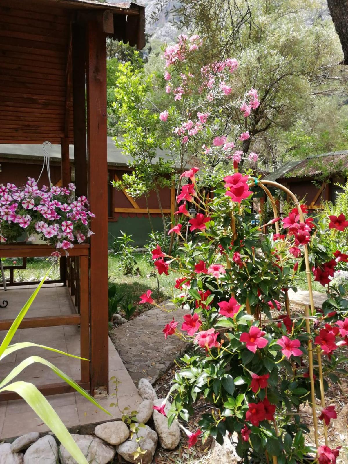 Canario Bungalows