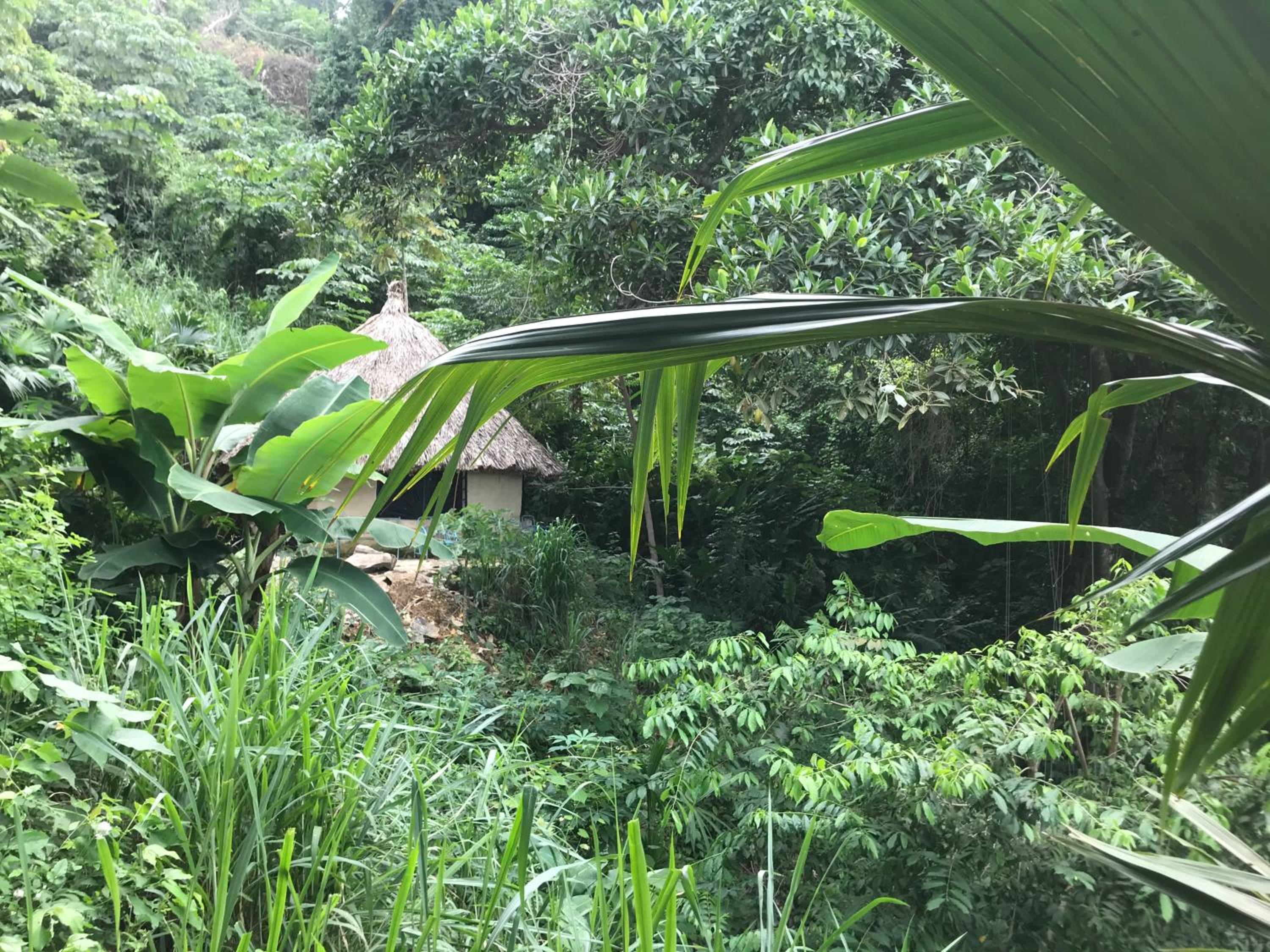 Puerto Alto Hostel