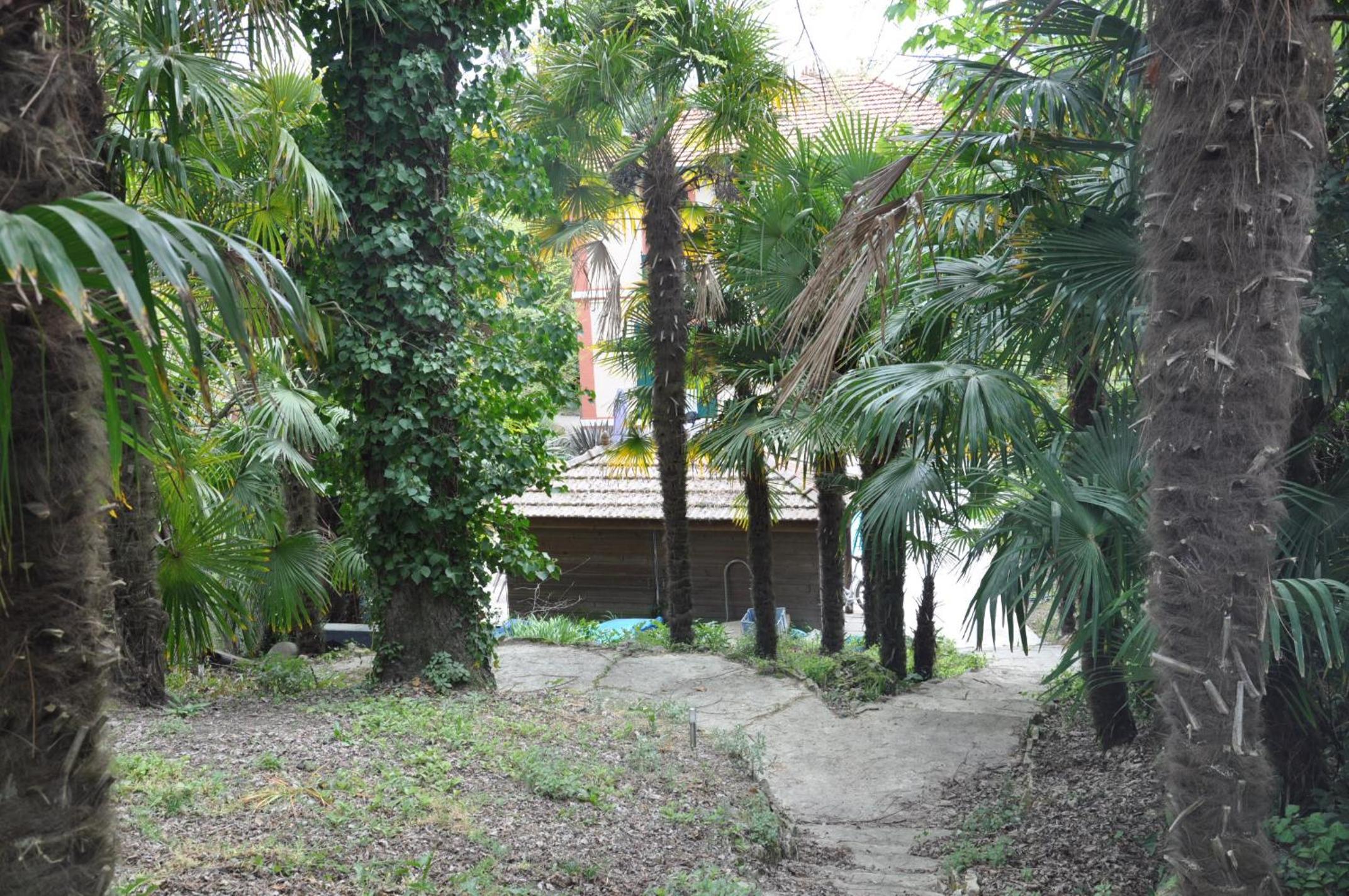 Photo 19