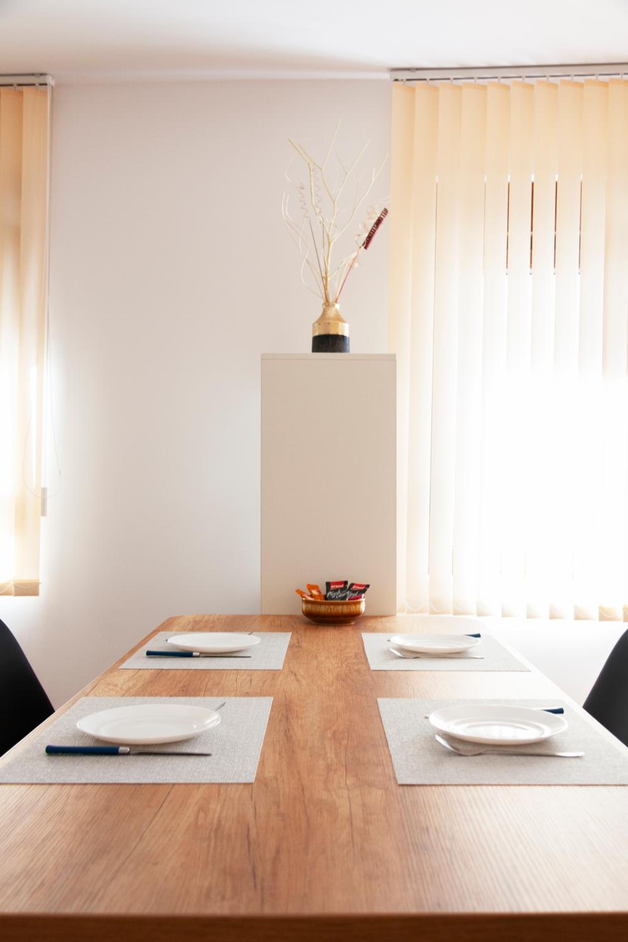 Lux Family Apartment Vidanovic