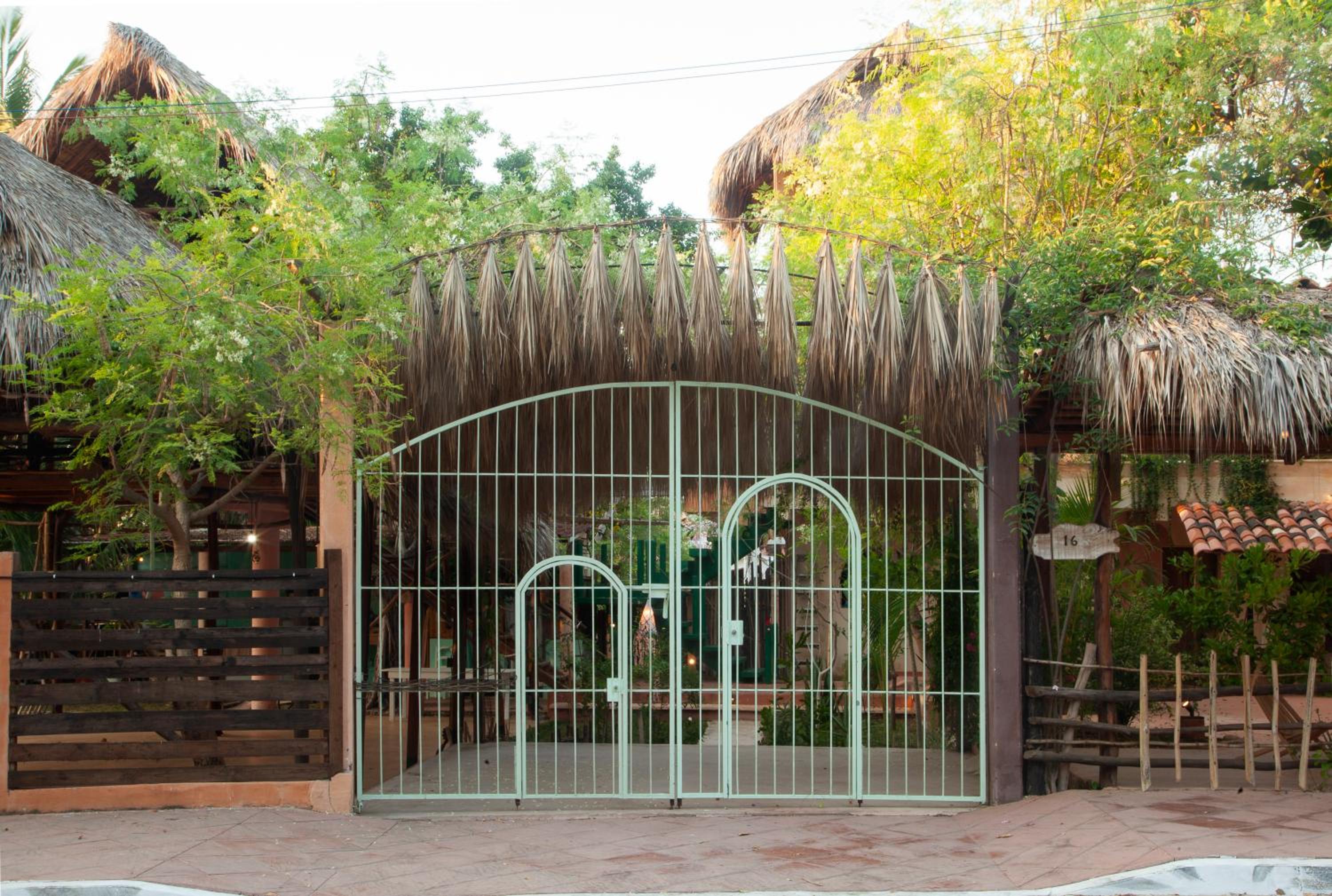 Photo 41