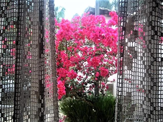 Espaço Vila Lara