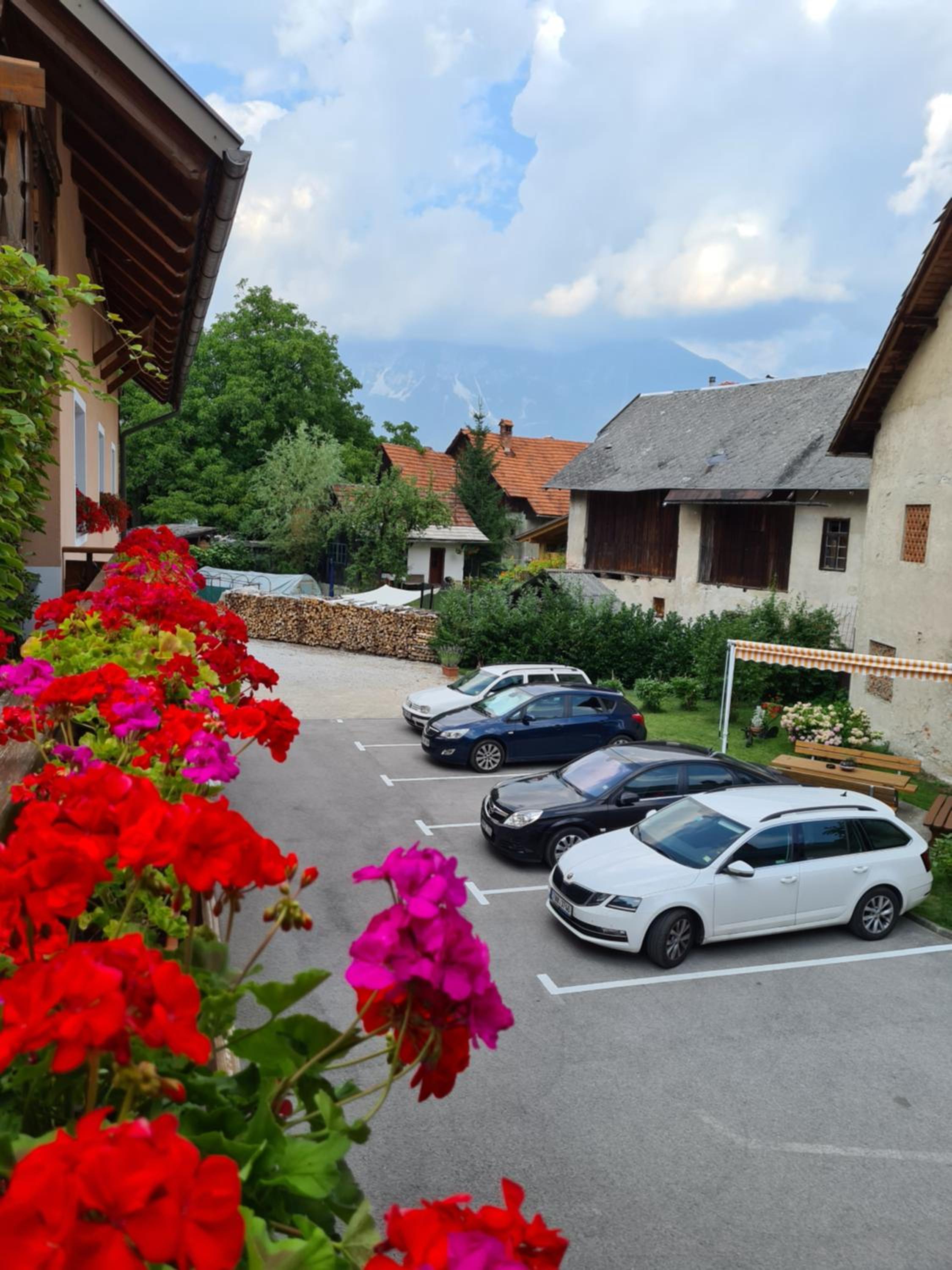 Apartmaji Mežan