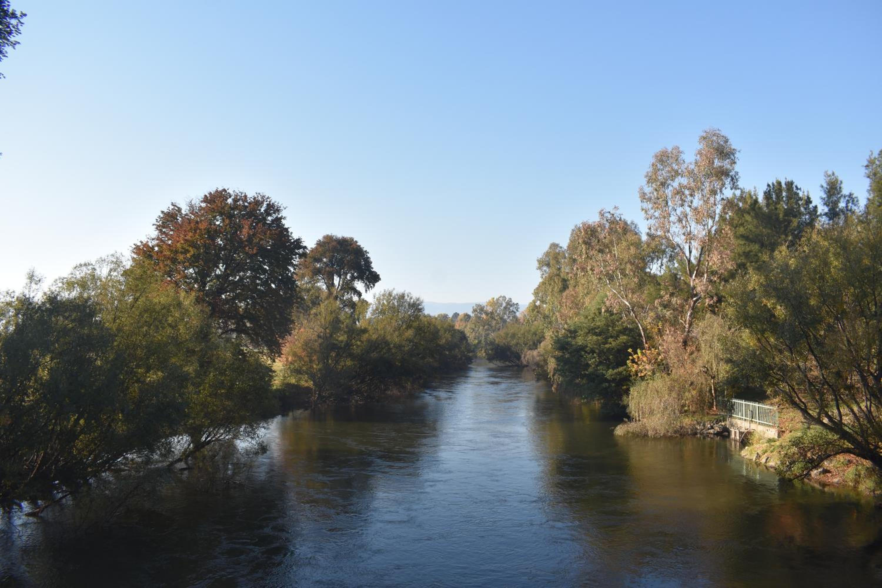 Tumut Farrington motel