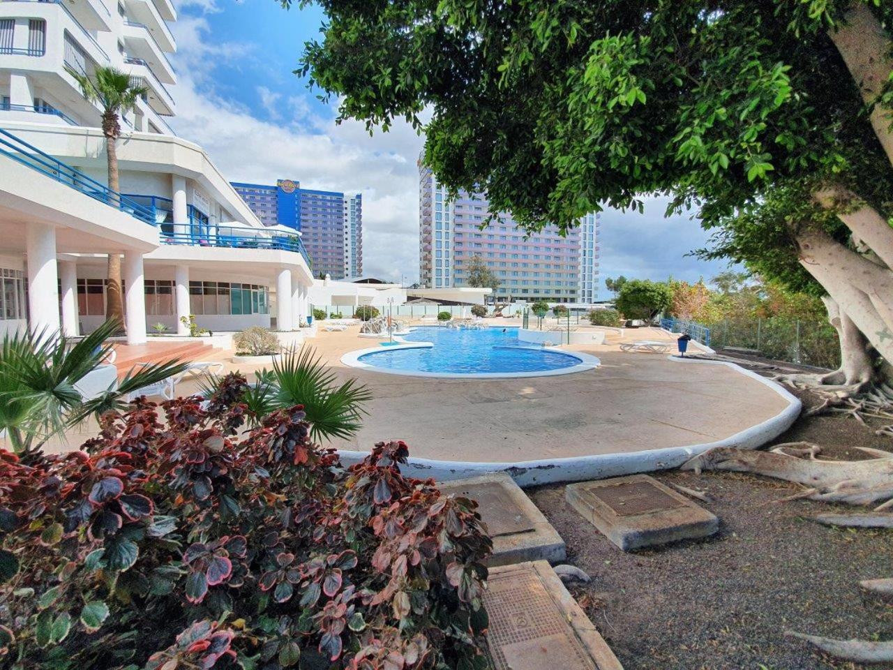 Ocean View Deluxe Studio