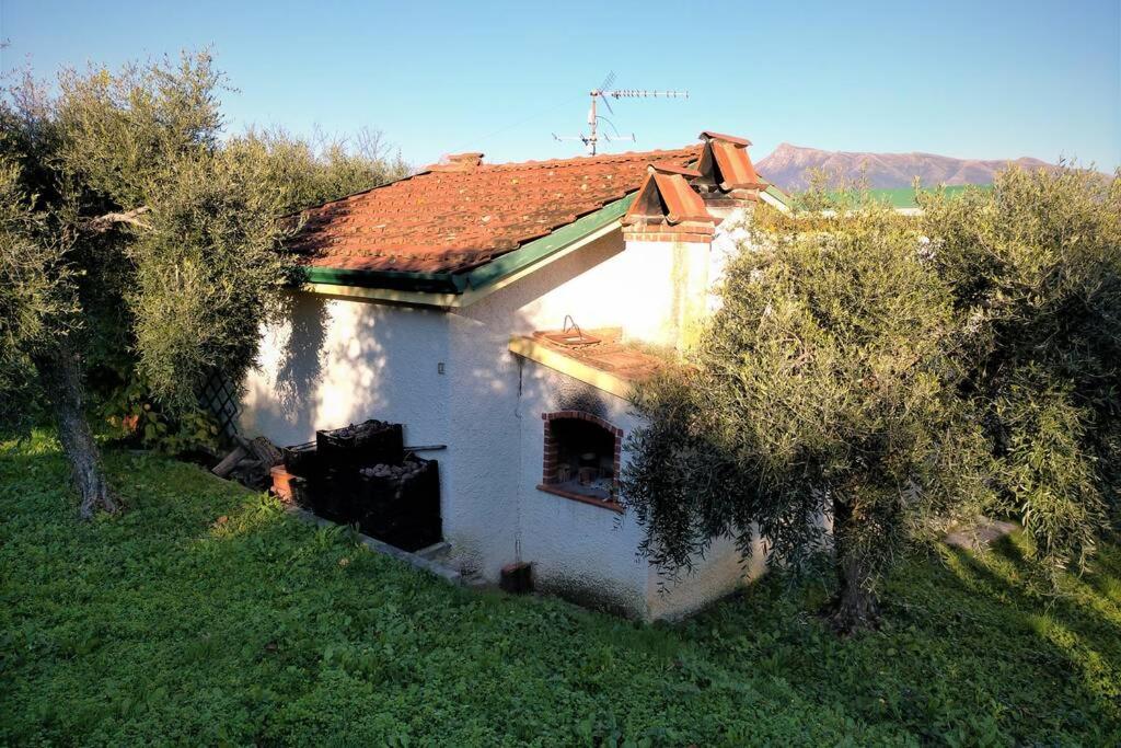 Photo 19