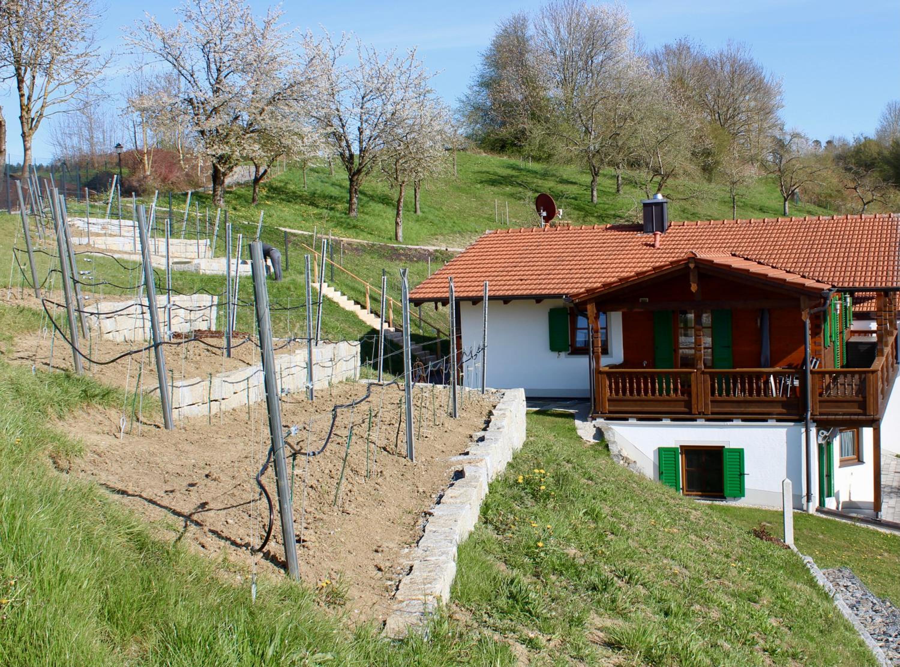Photo 18