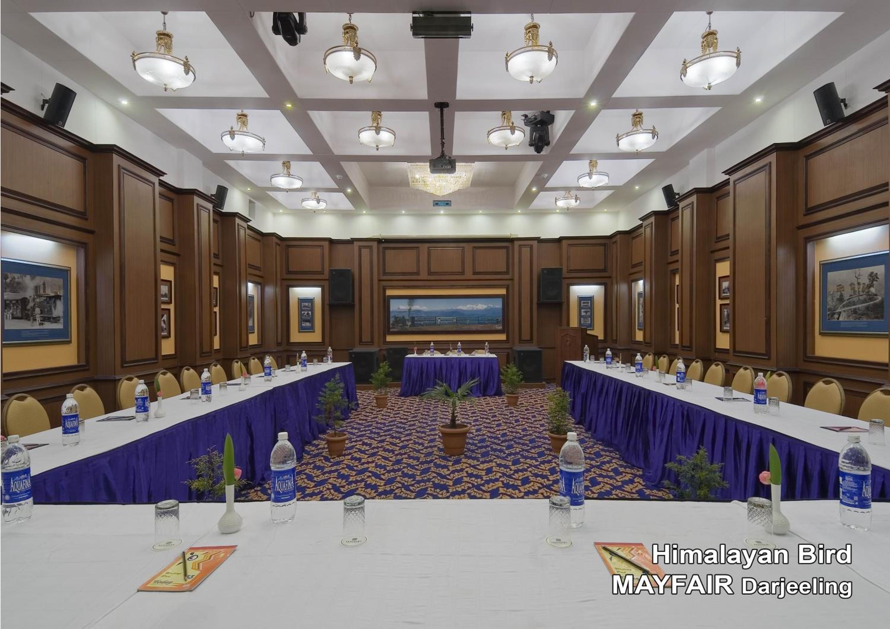 Mayfair Darjeeling
