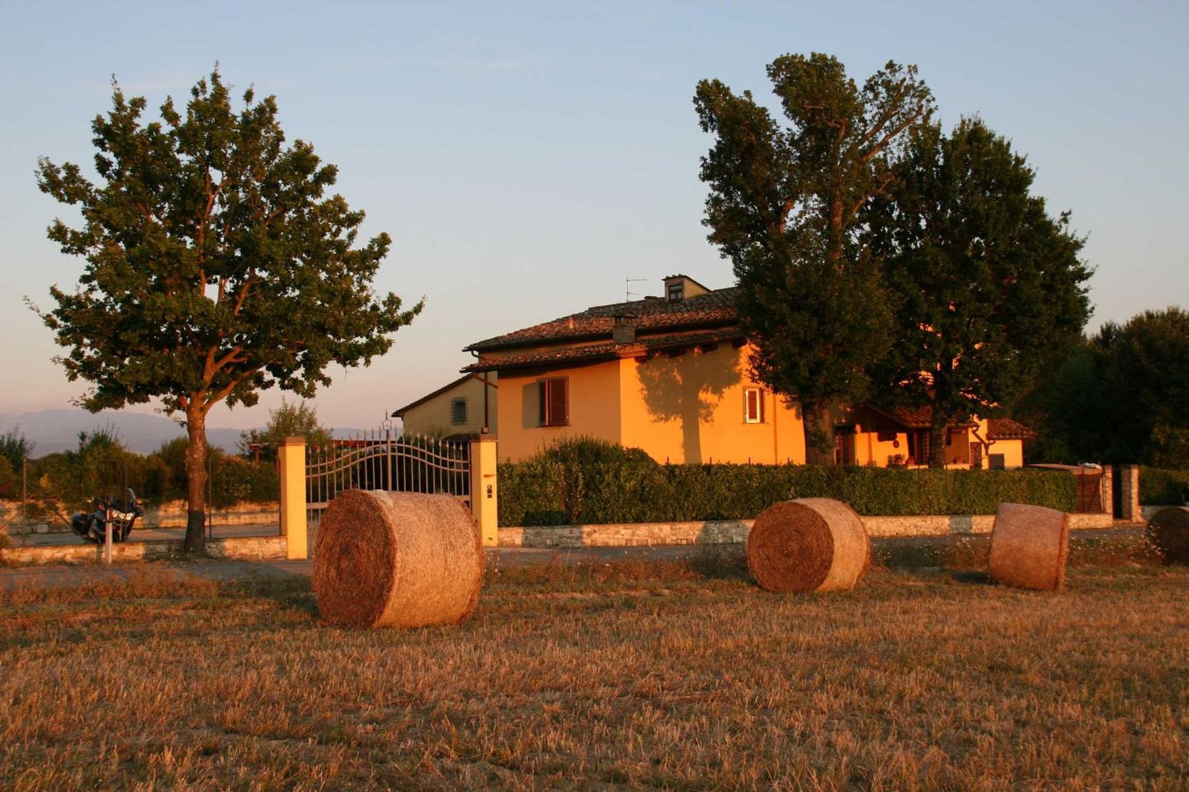 Il Nido di Gabbiano