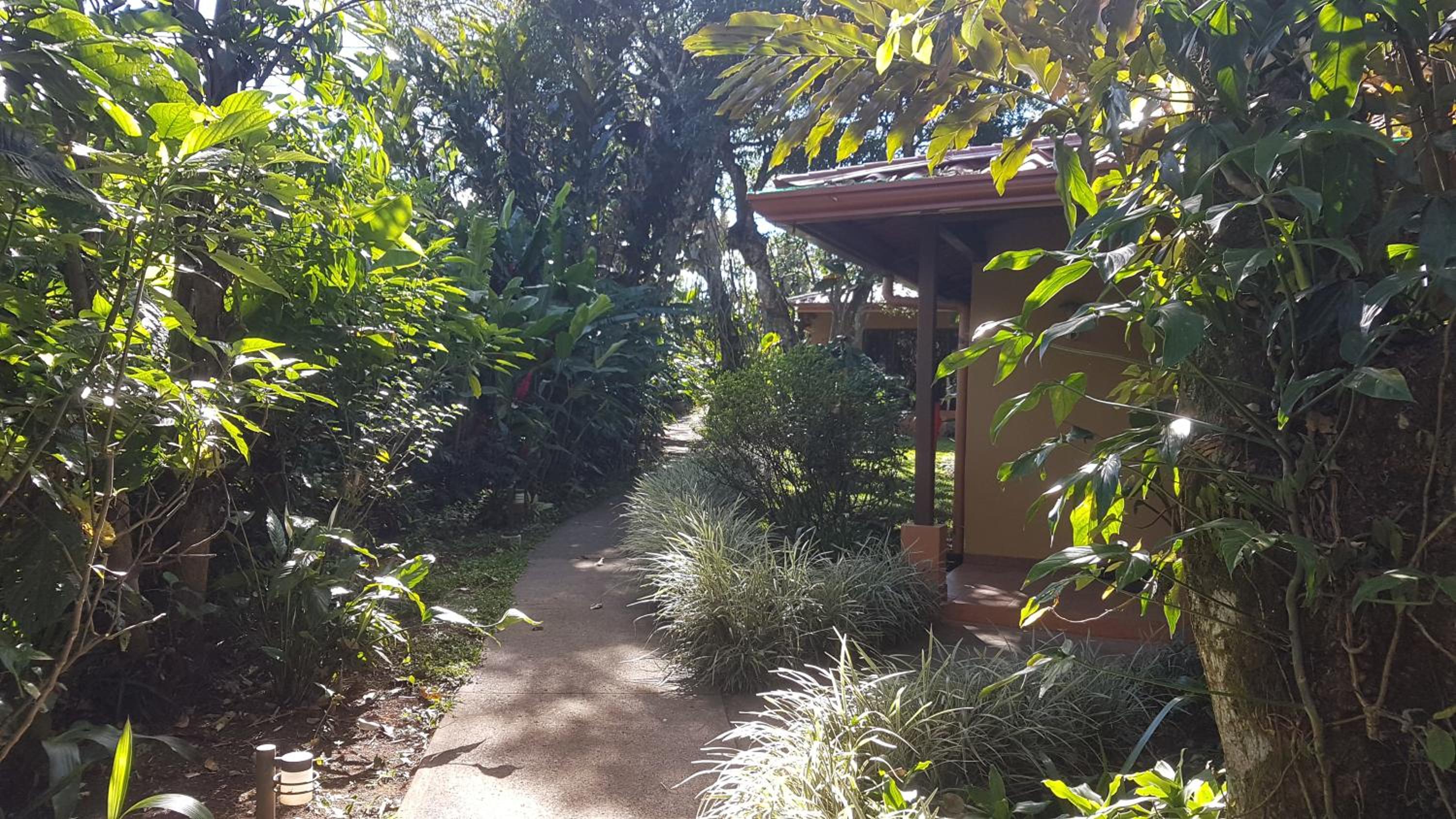 Tacacori EcoLodge