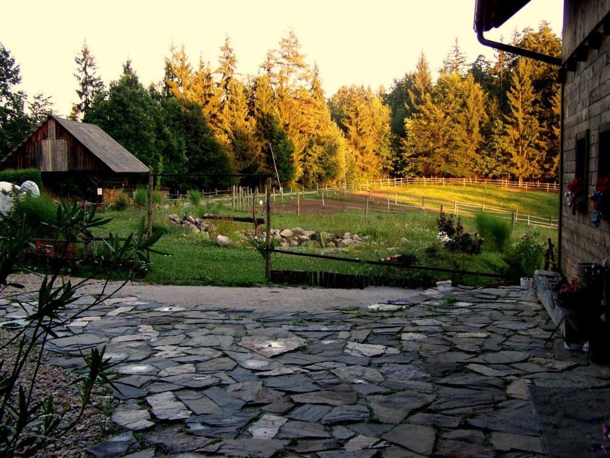Photo 23