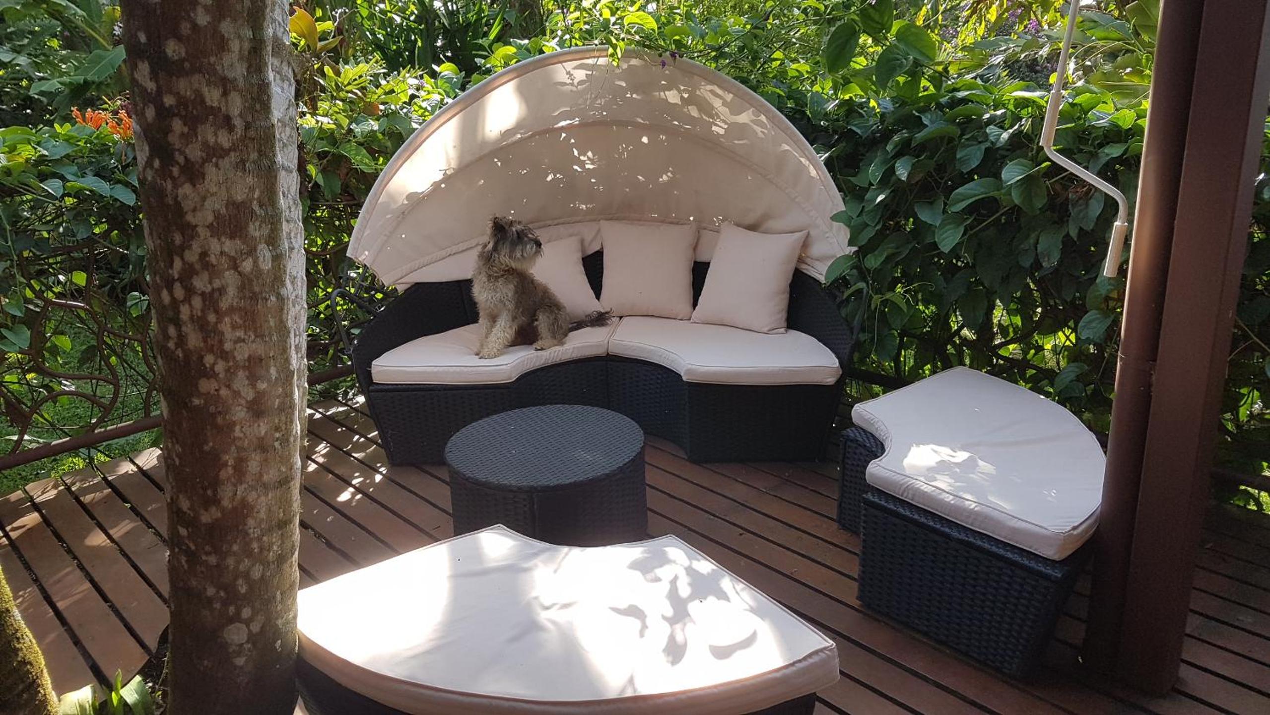 Tacacori EcoLodge
