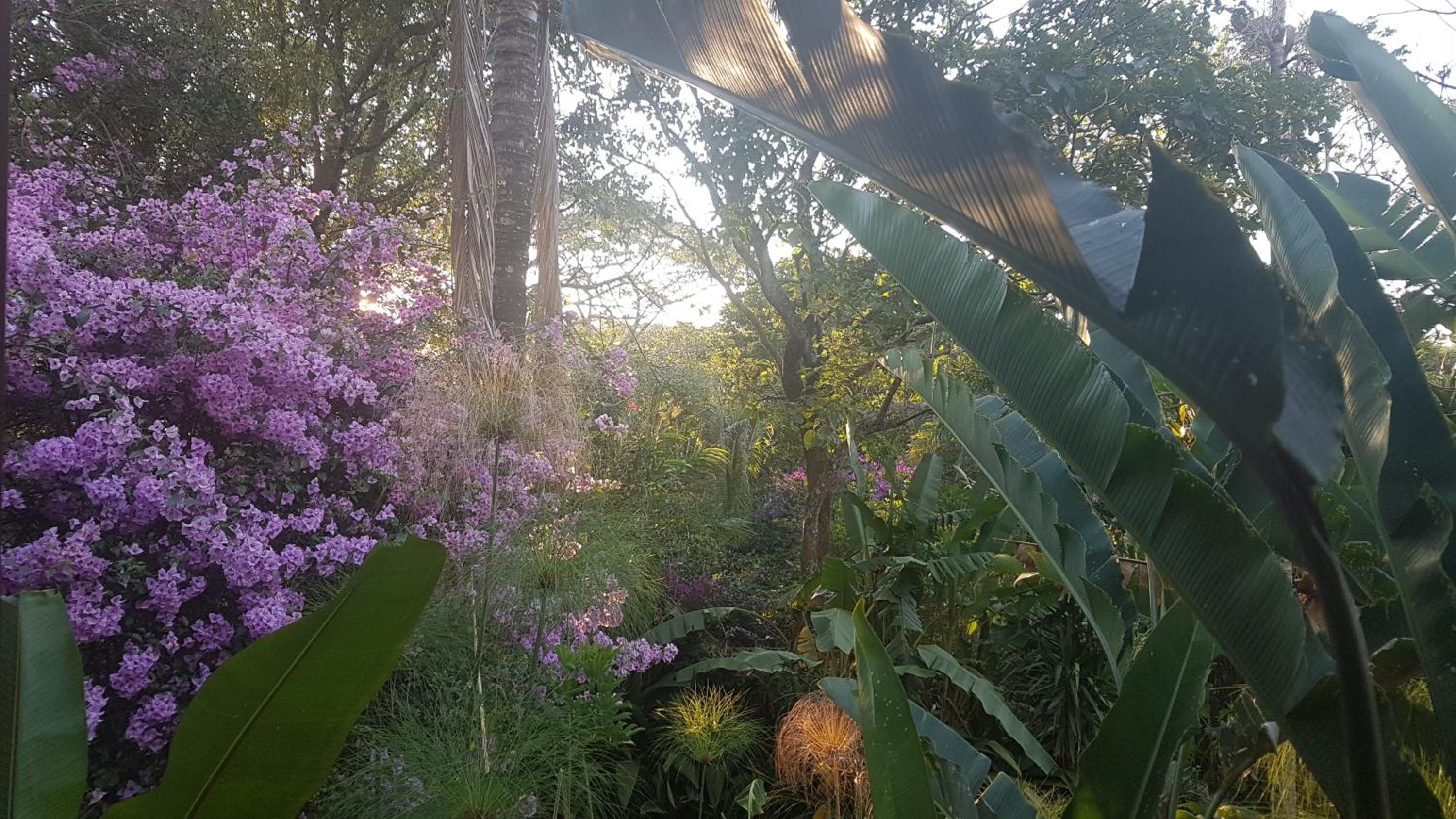 Tacacori EcoLodge