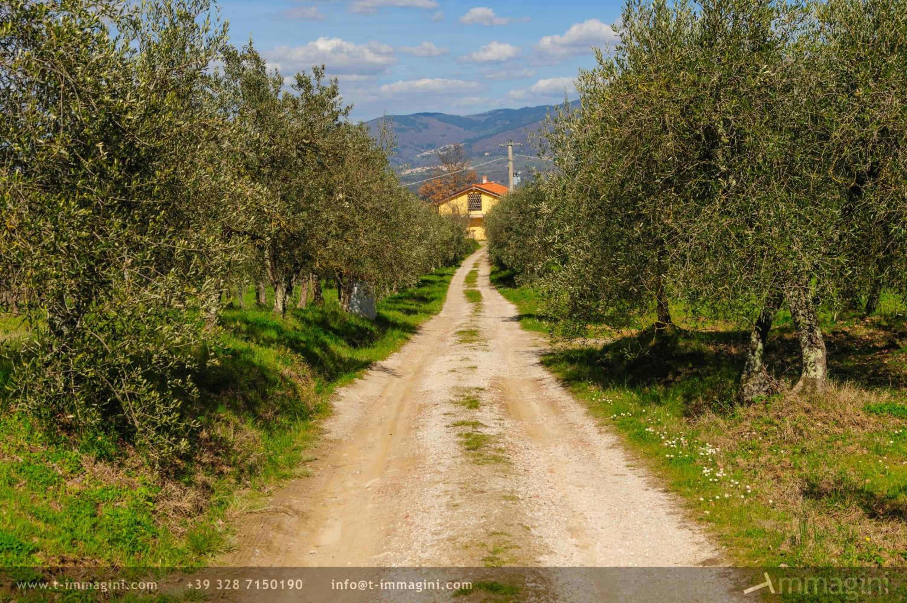 Bioagriturismo Poderaccio view 3