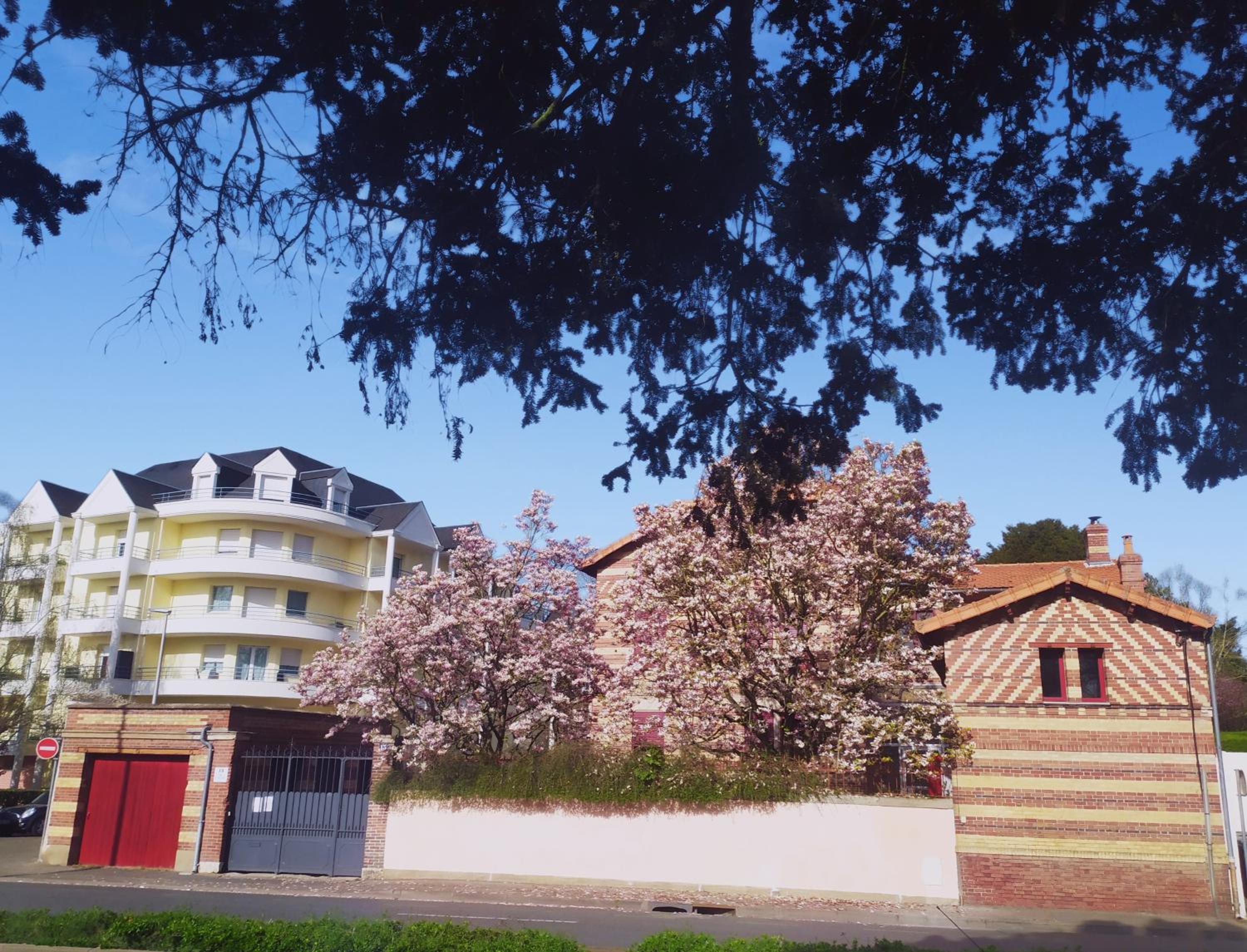 Photo 18