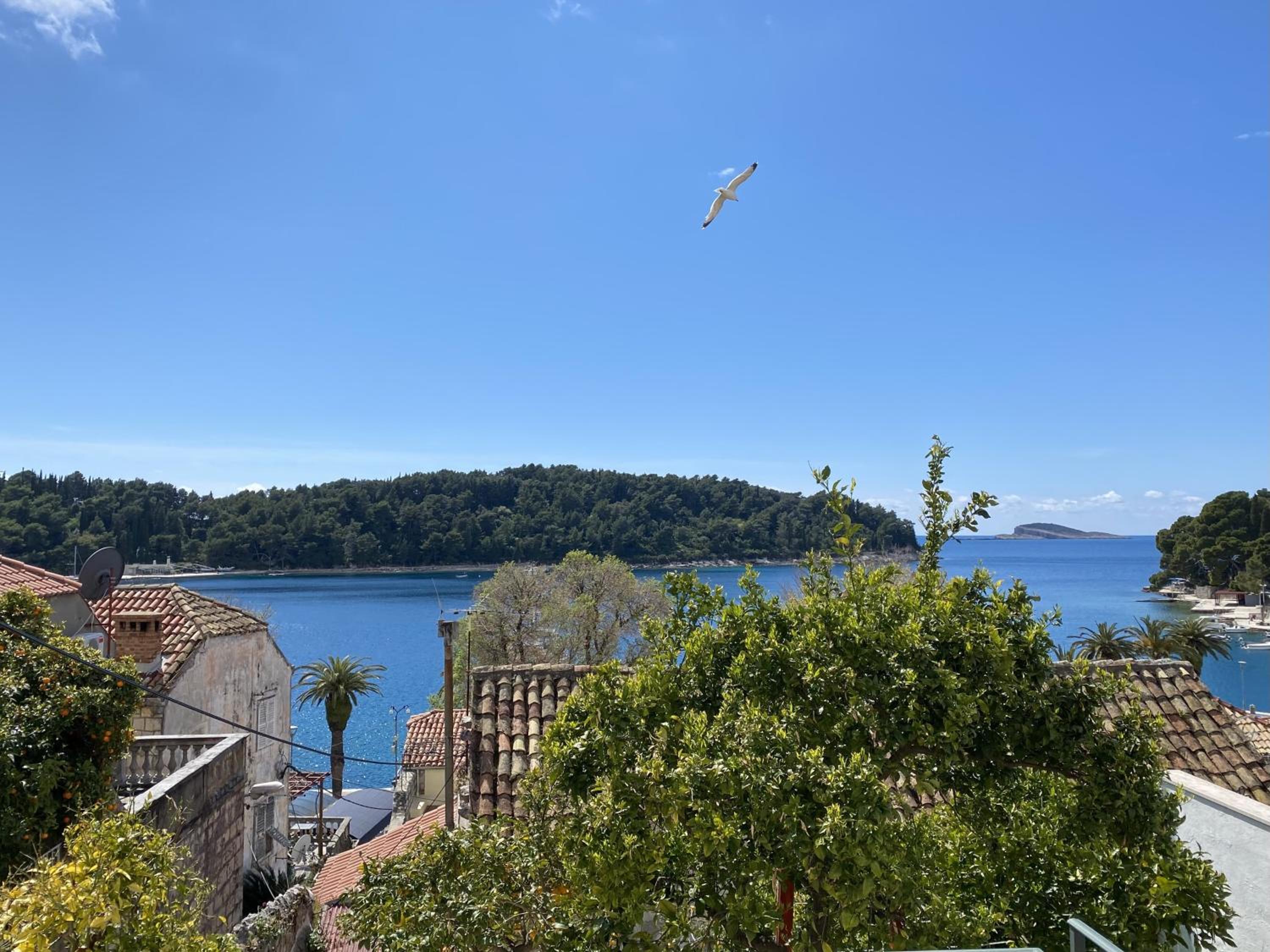 Sweet Old Stone House Cavtat photo 2