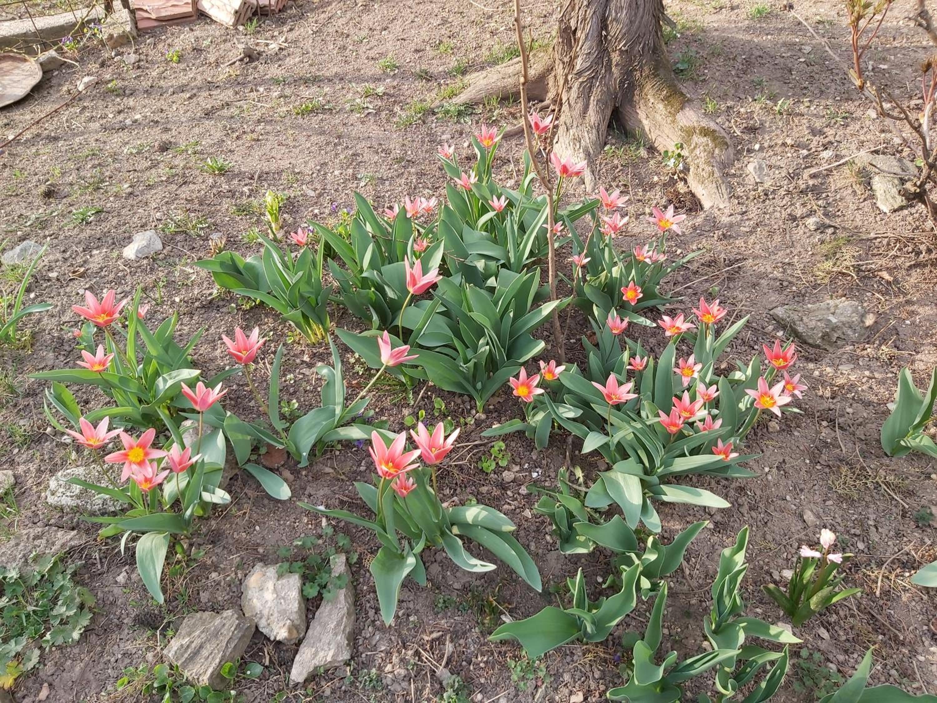 Photo 48