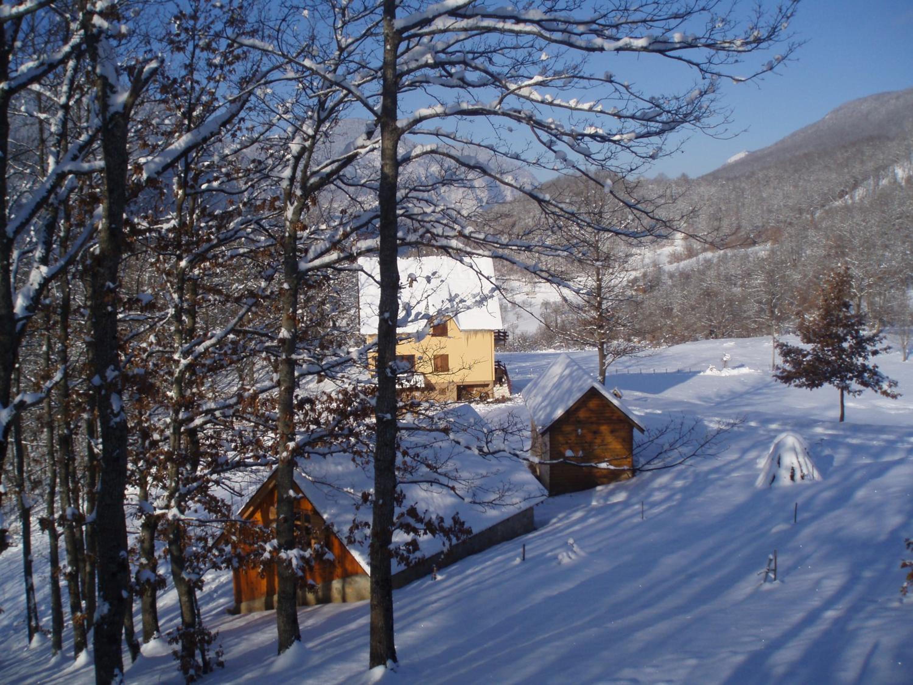 Guest House Tara Canyon photo 2