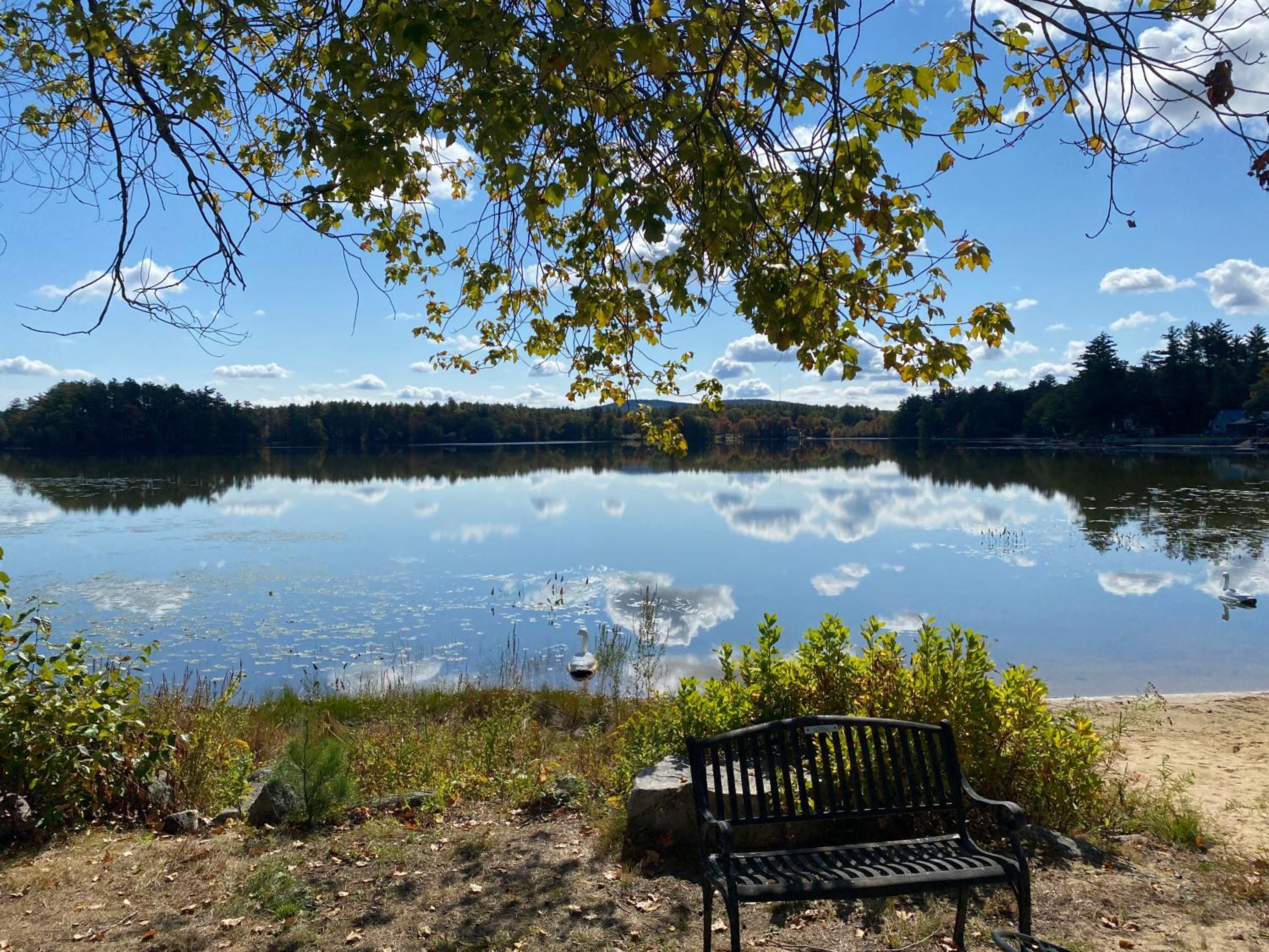 The Cottages at Harvey Lake