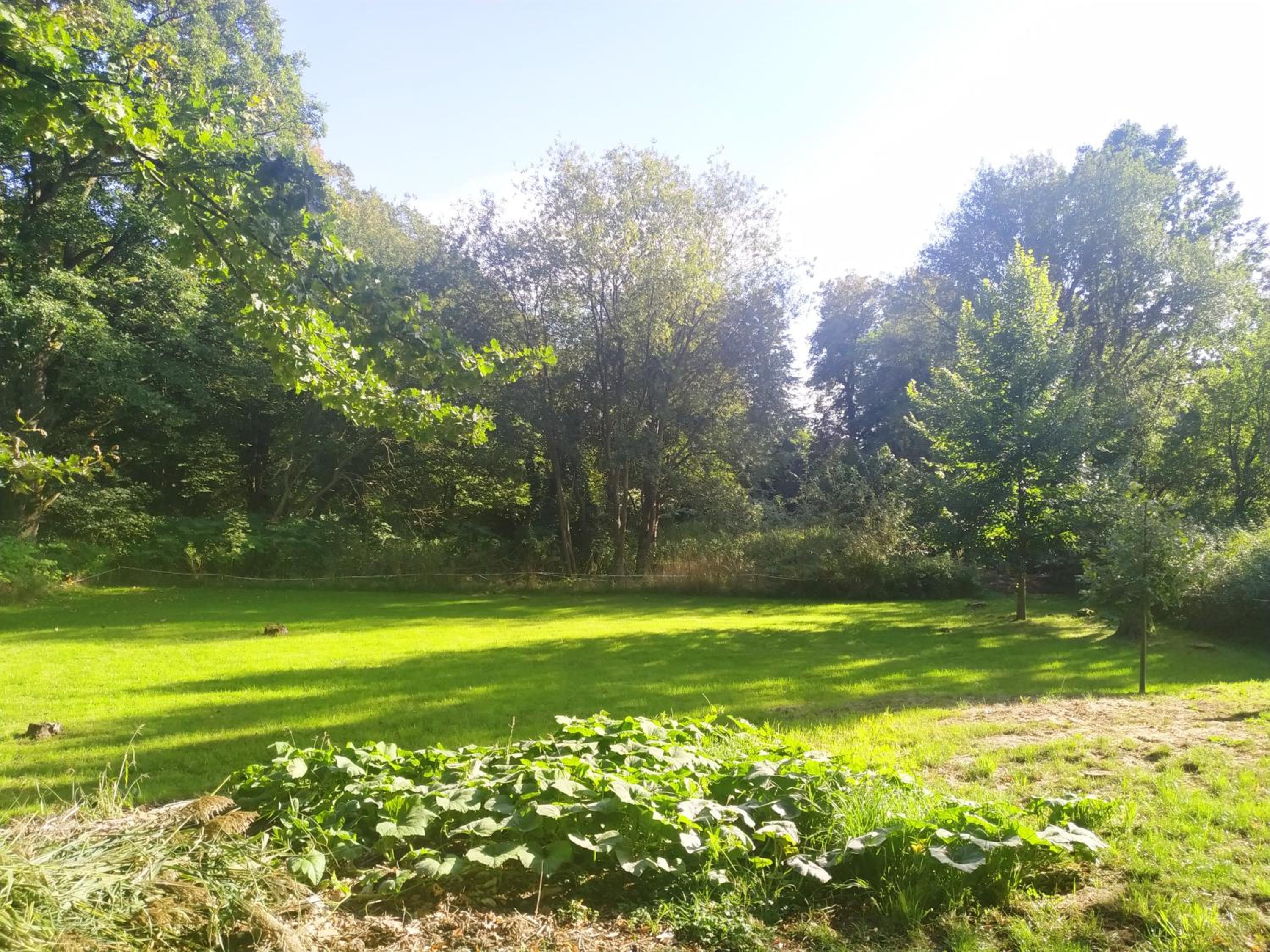 Photo 22