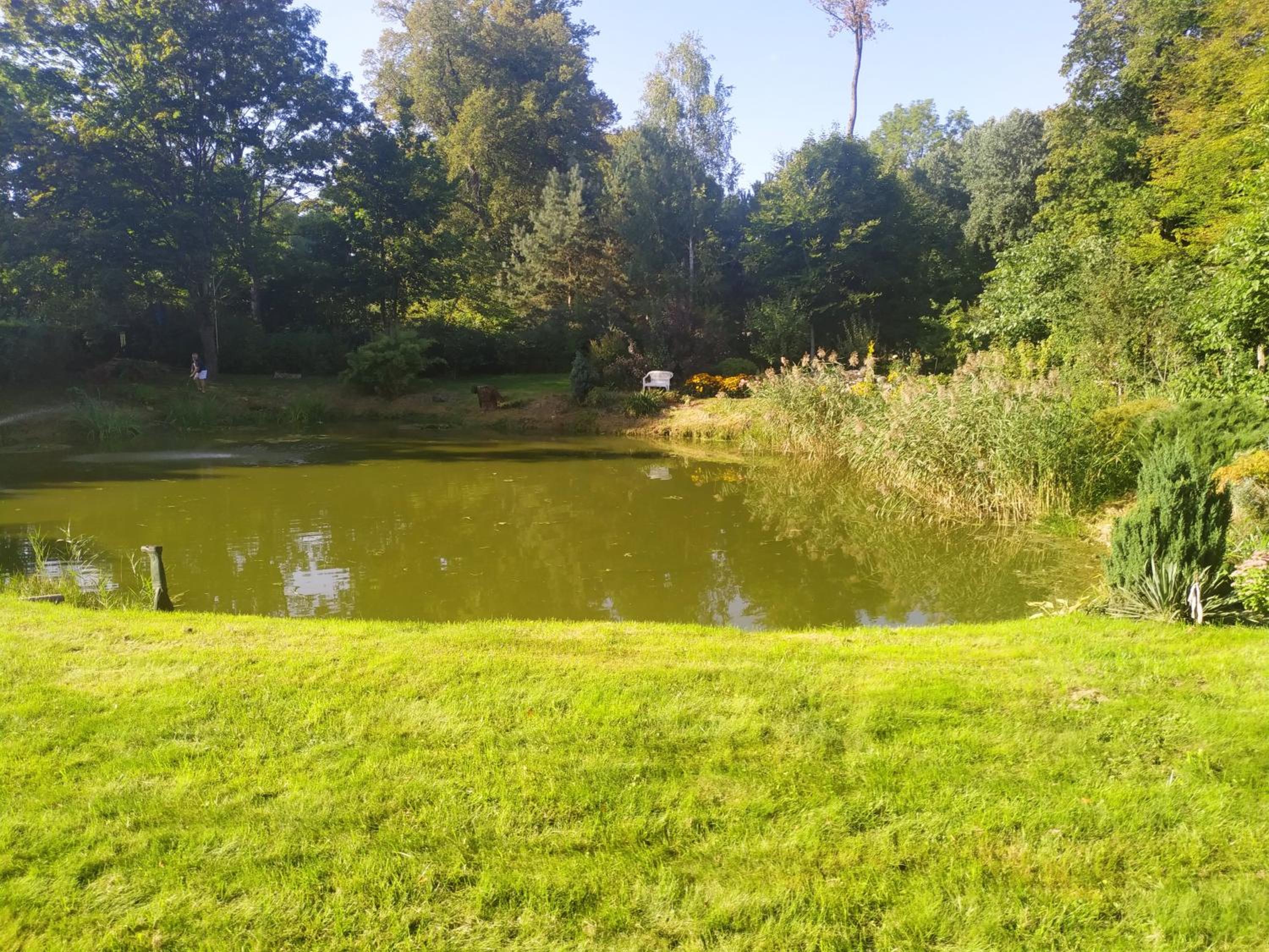 Photo 23