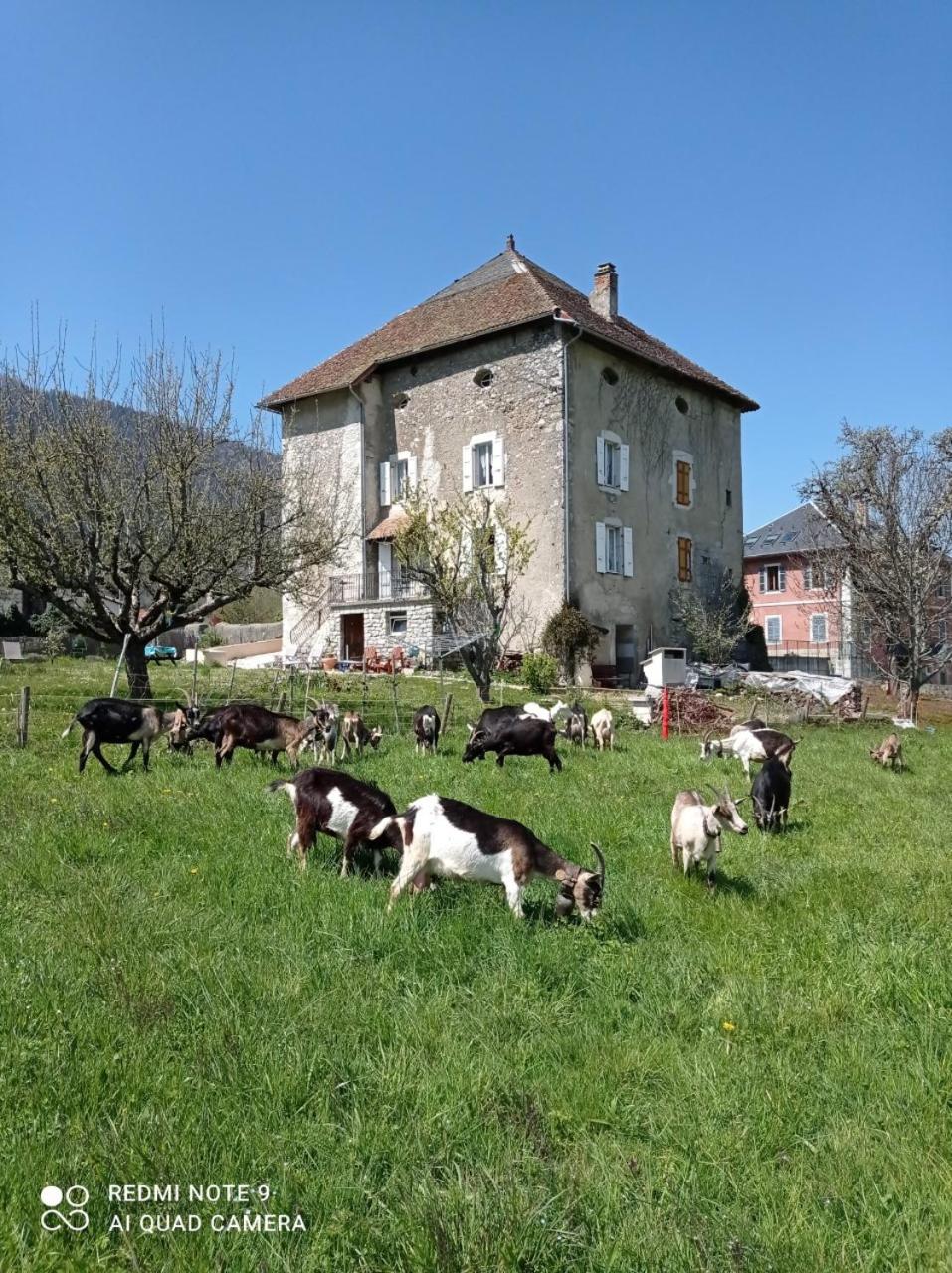 Photo 15