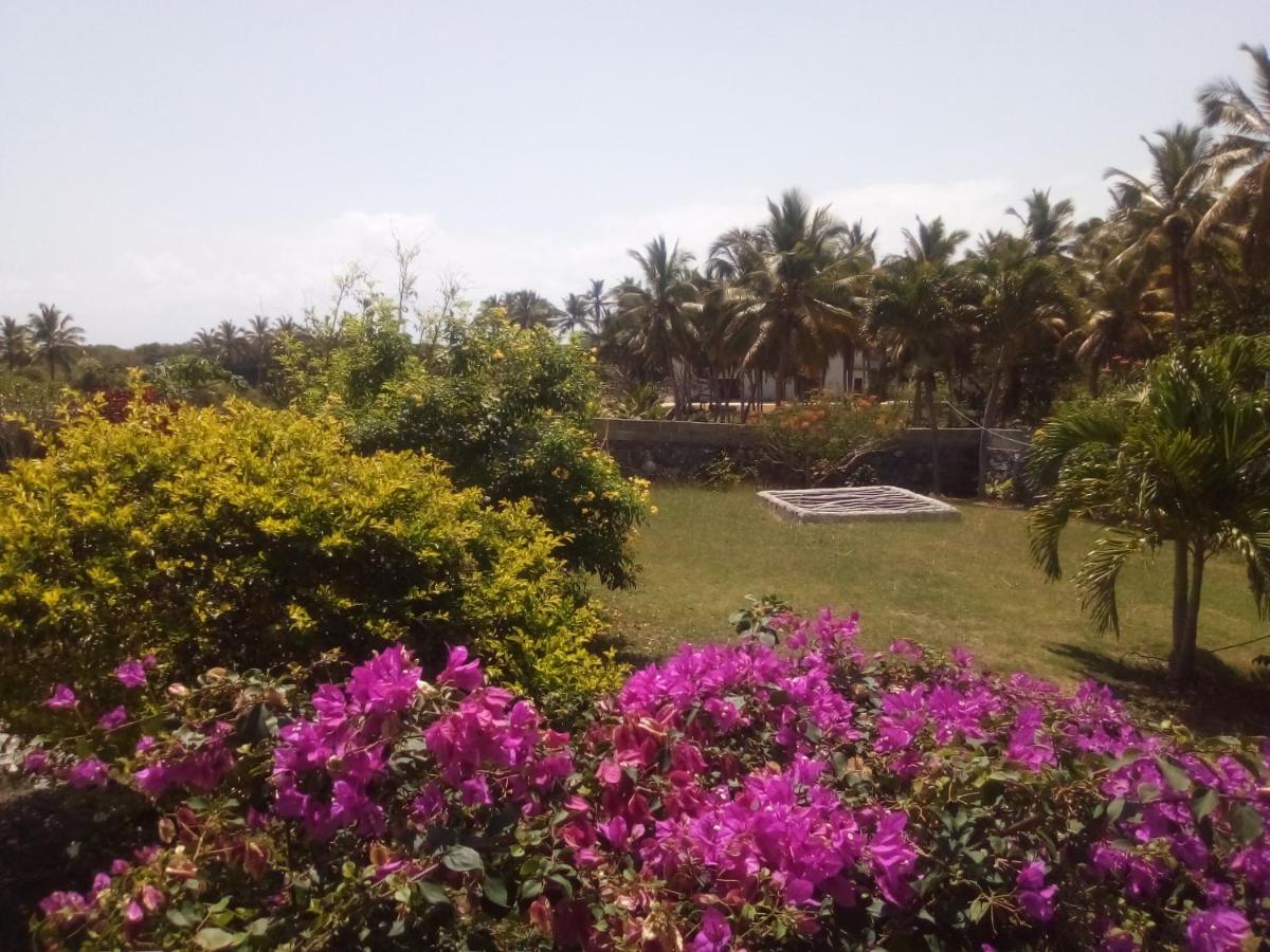 Casa Camilla — photo 3