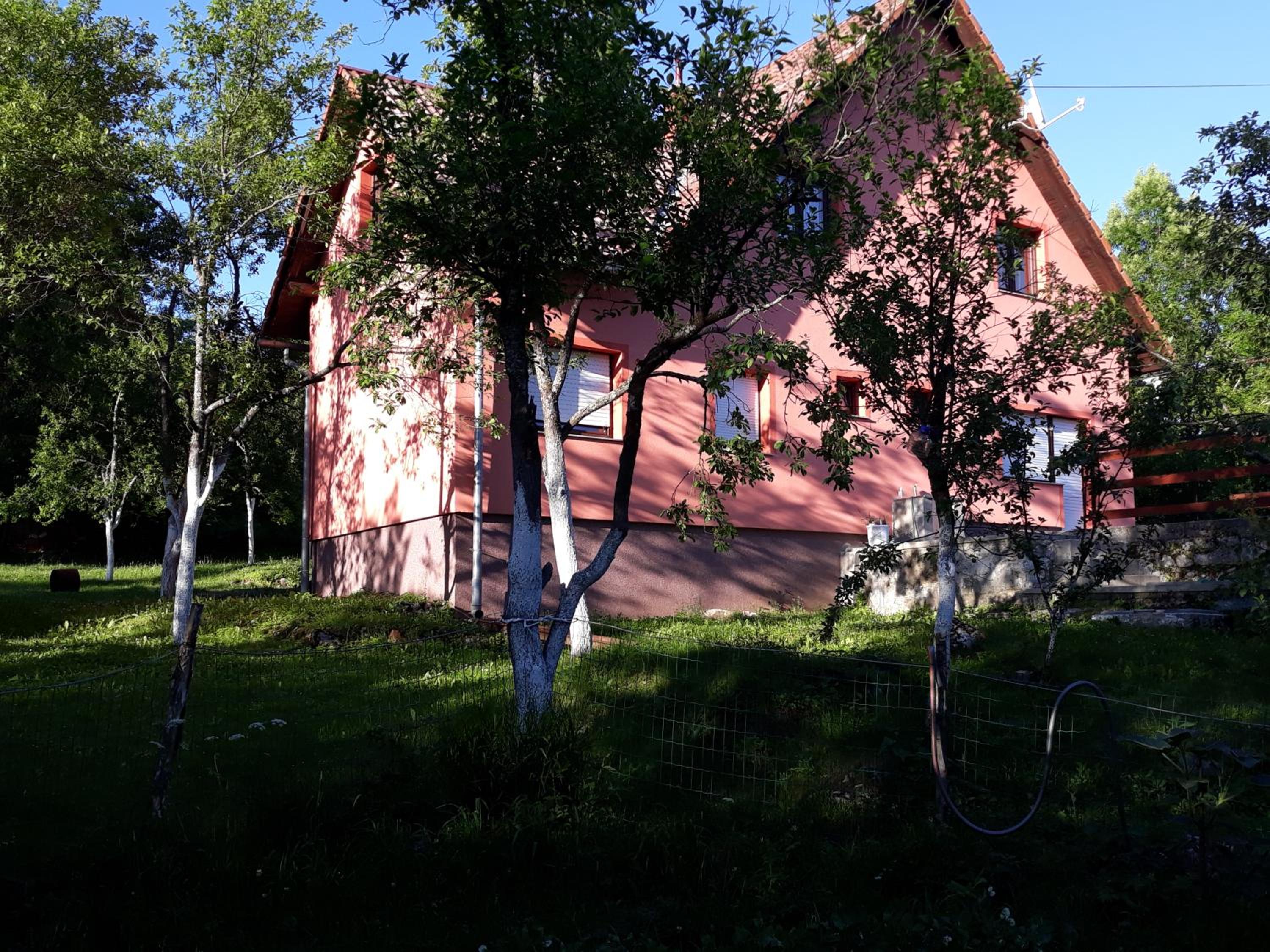 Photo 35
