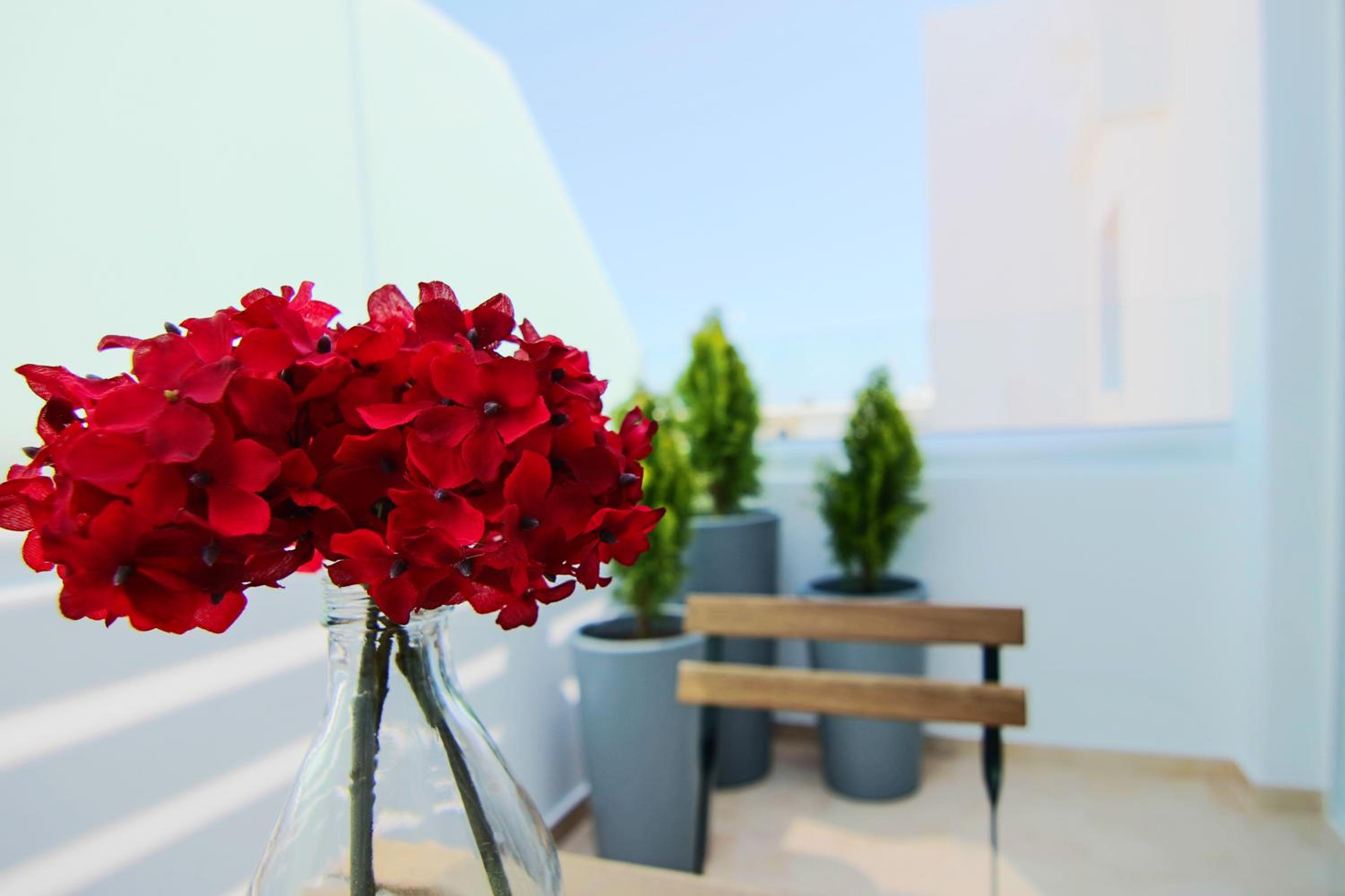 Phaedrus Living: Seaside Luxury Flat Lighthouse 62