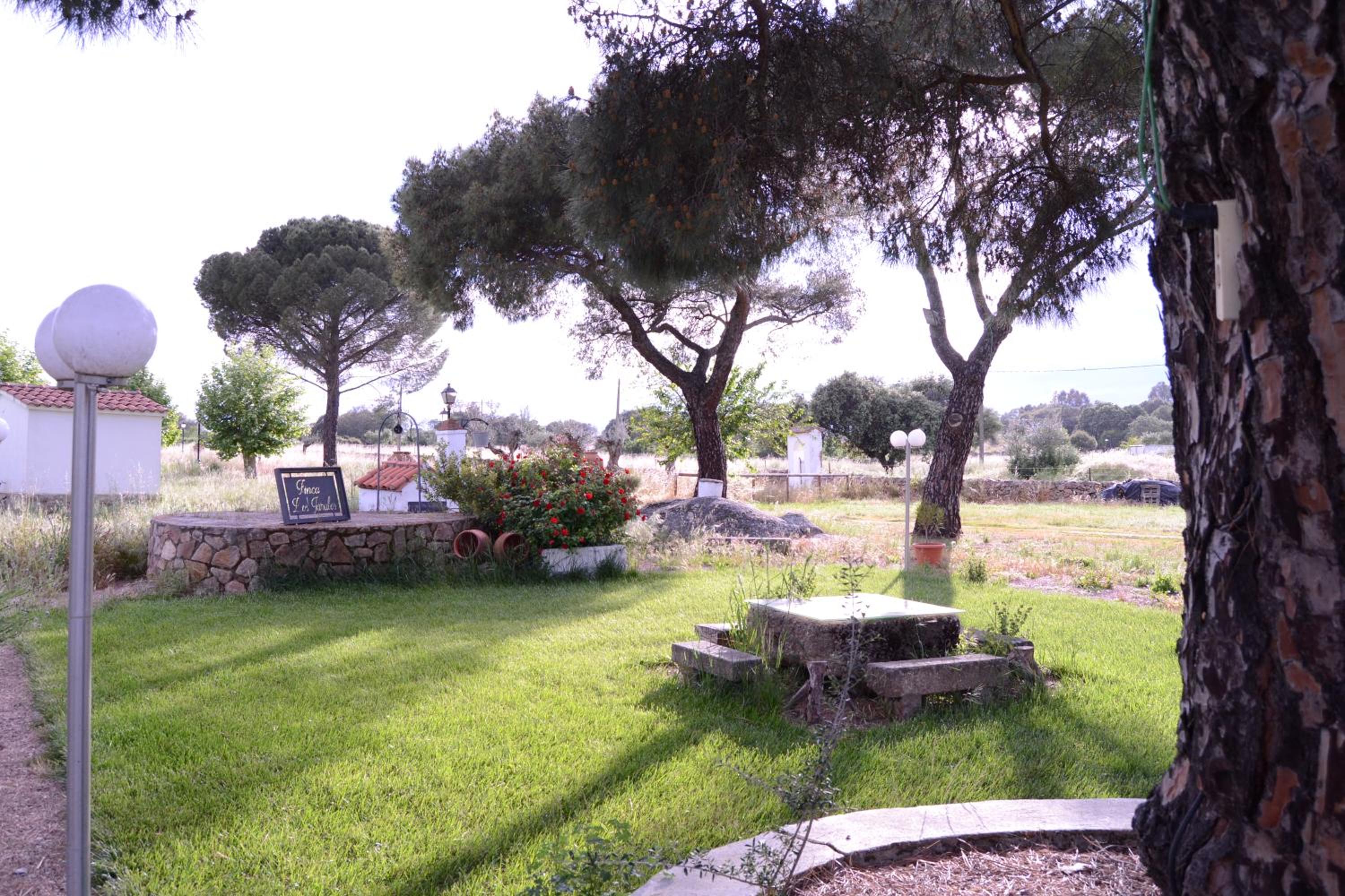 Photo 10